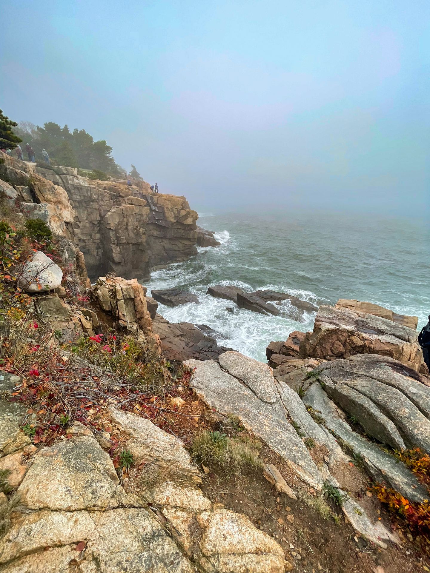 A rocky coastline seen along the Ocean Path in Acadia.