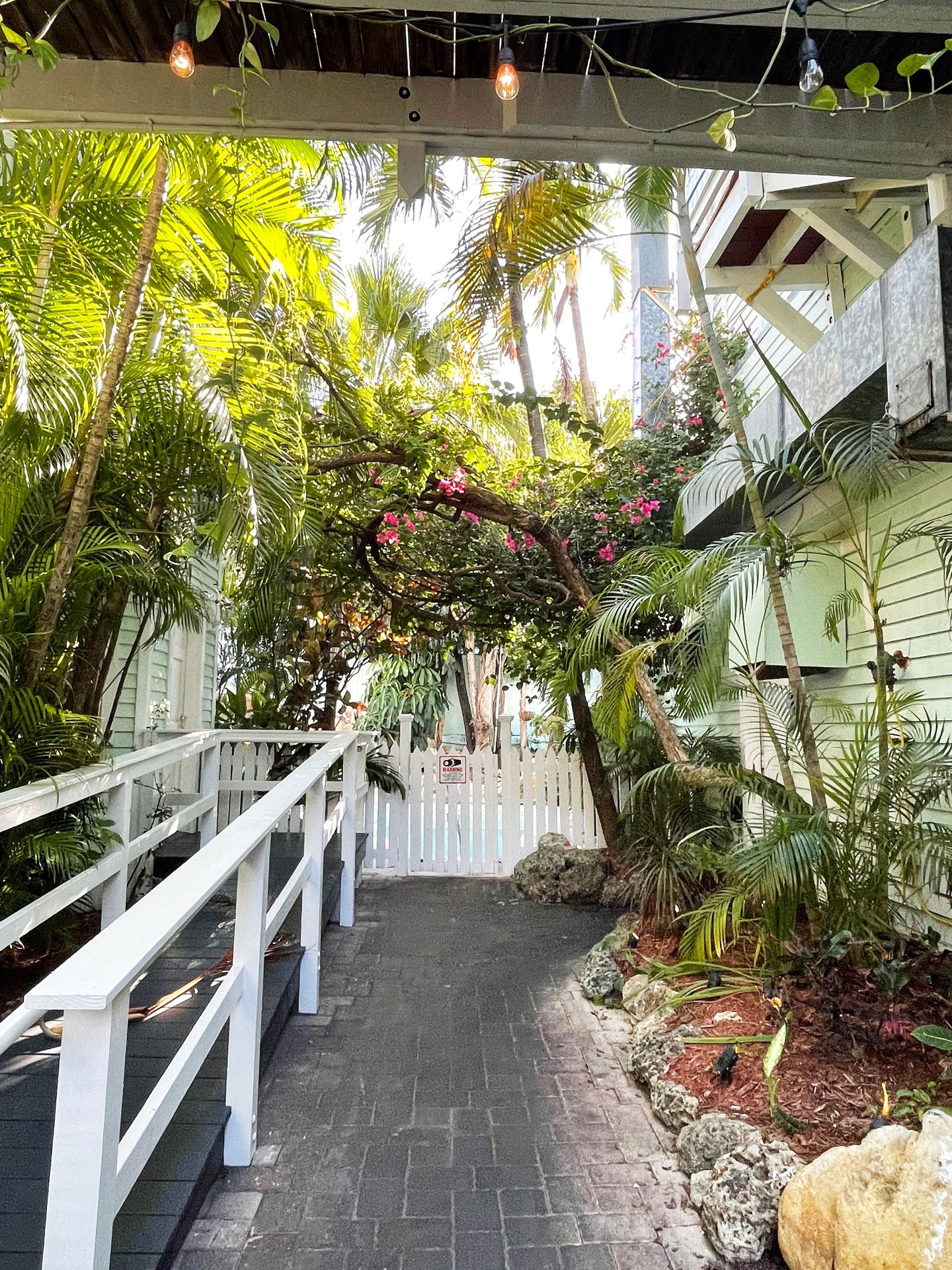 A patio full of greenery with white walls at the Old Town Tavern