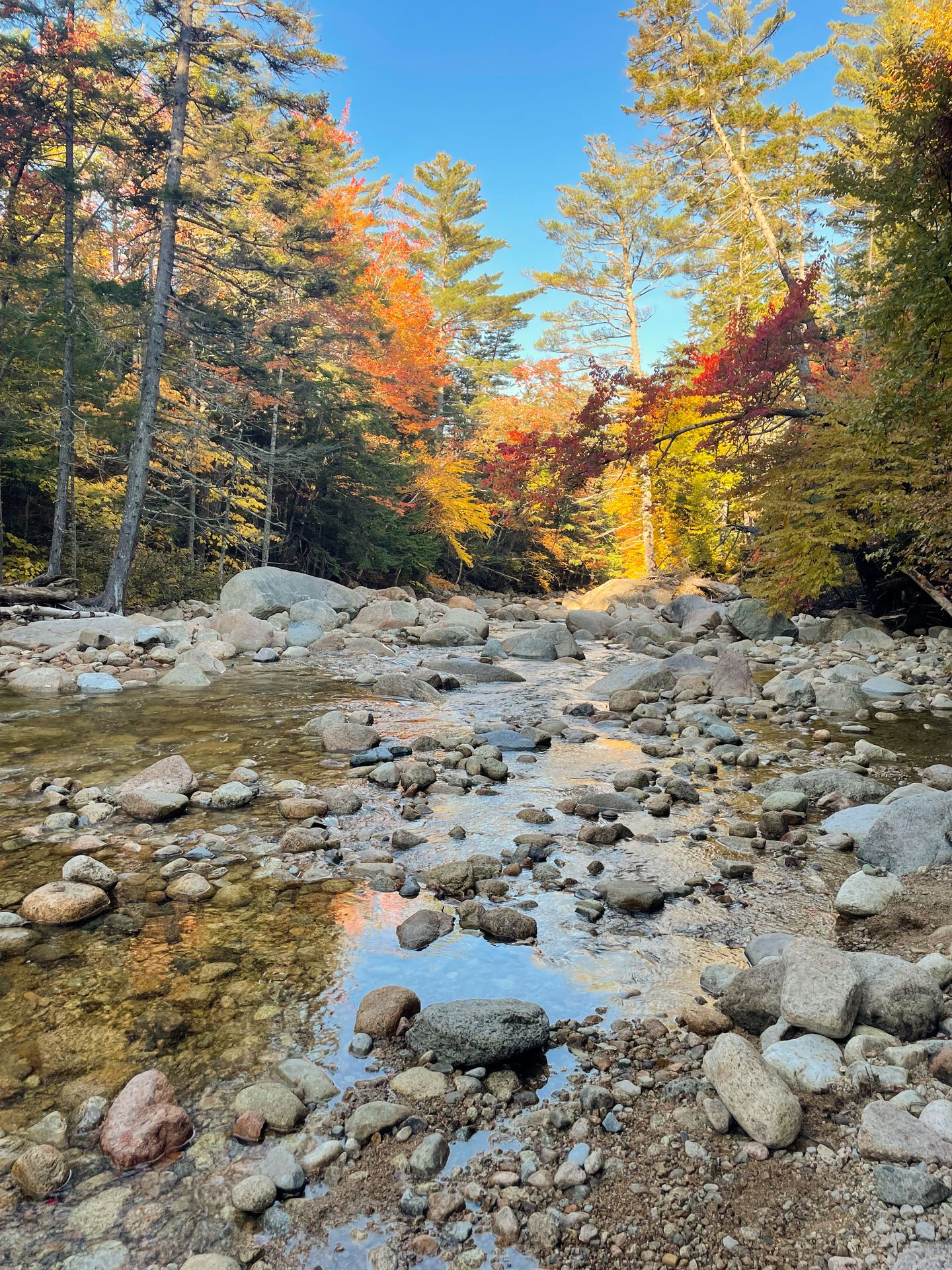 Small rocks in a stream that is reflecting the fall foliage above it