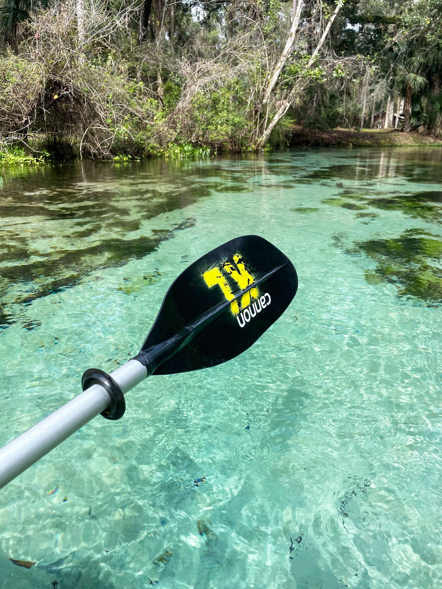 An oar hovering over clear, aqua colored water. There is some green moss in the water.