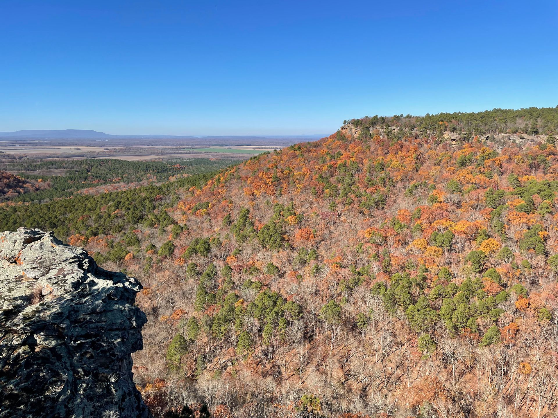 Looking across a valley at a cliff covered with orange trees.