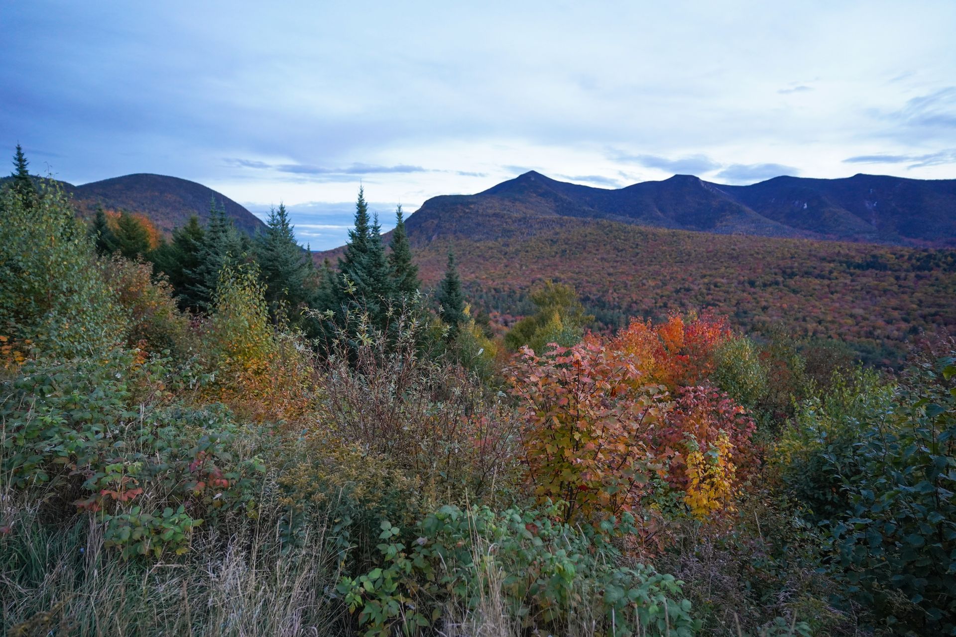 A nice view of mountains and fall foliage