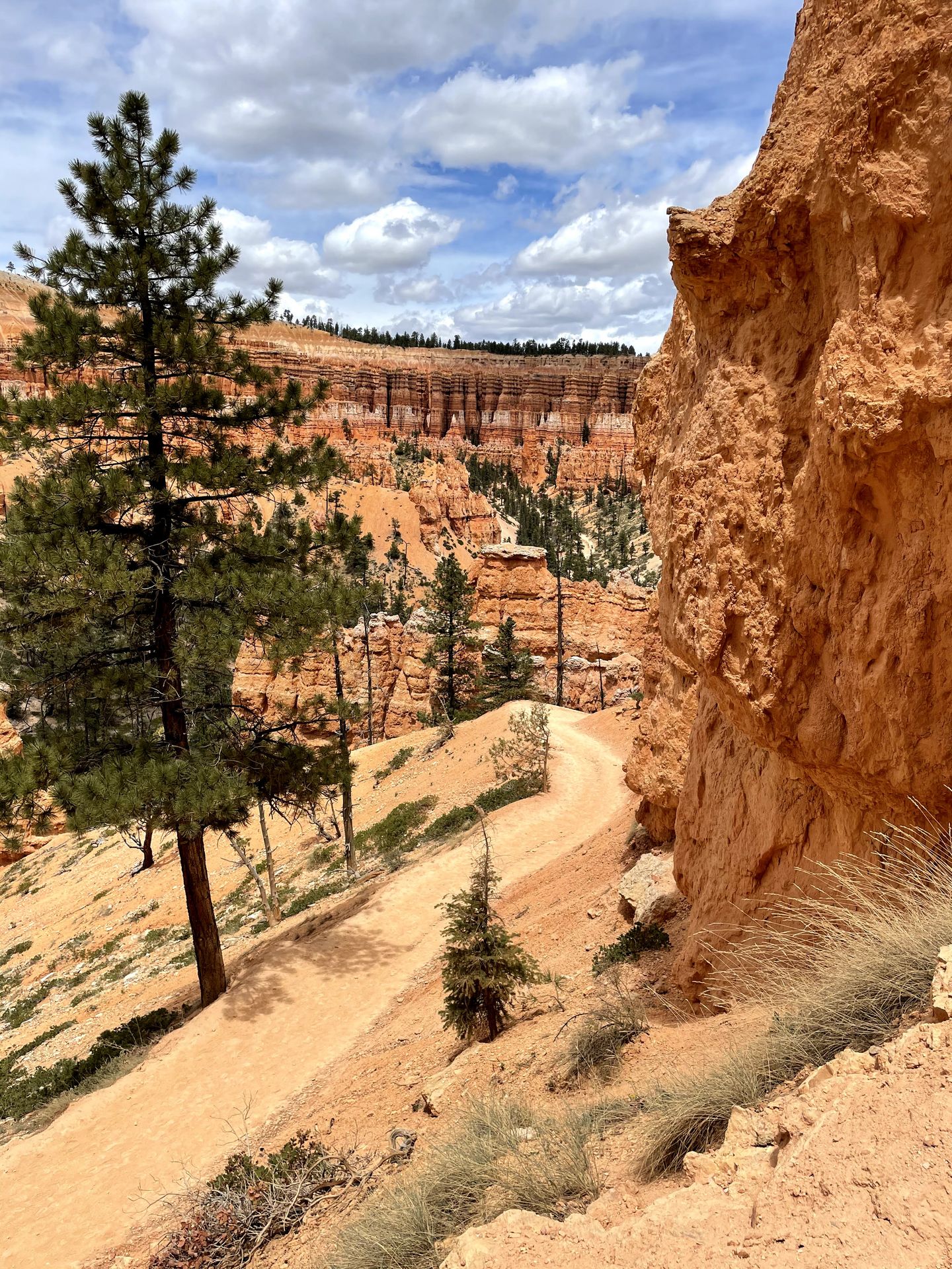 A trail winding through tall hoodoos on the Peekaboo Loop.