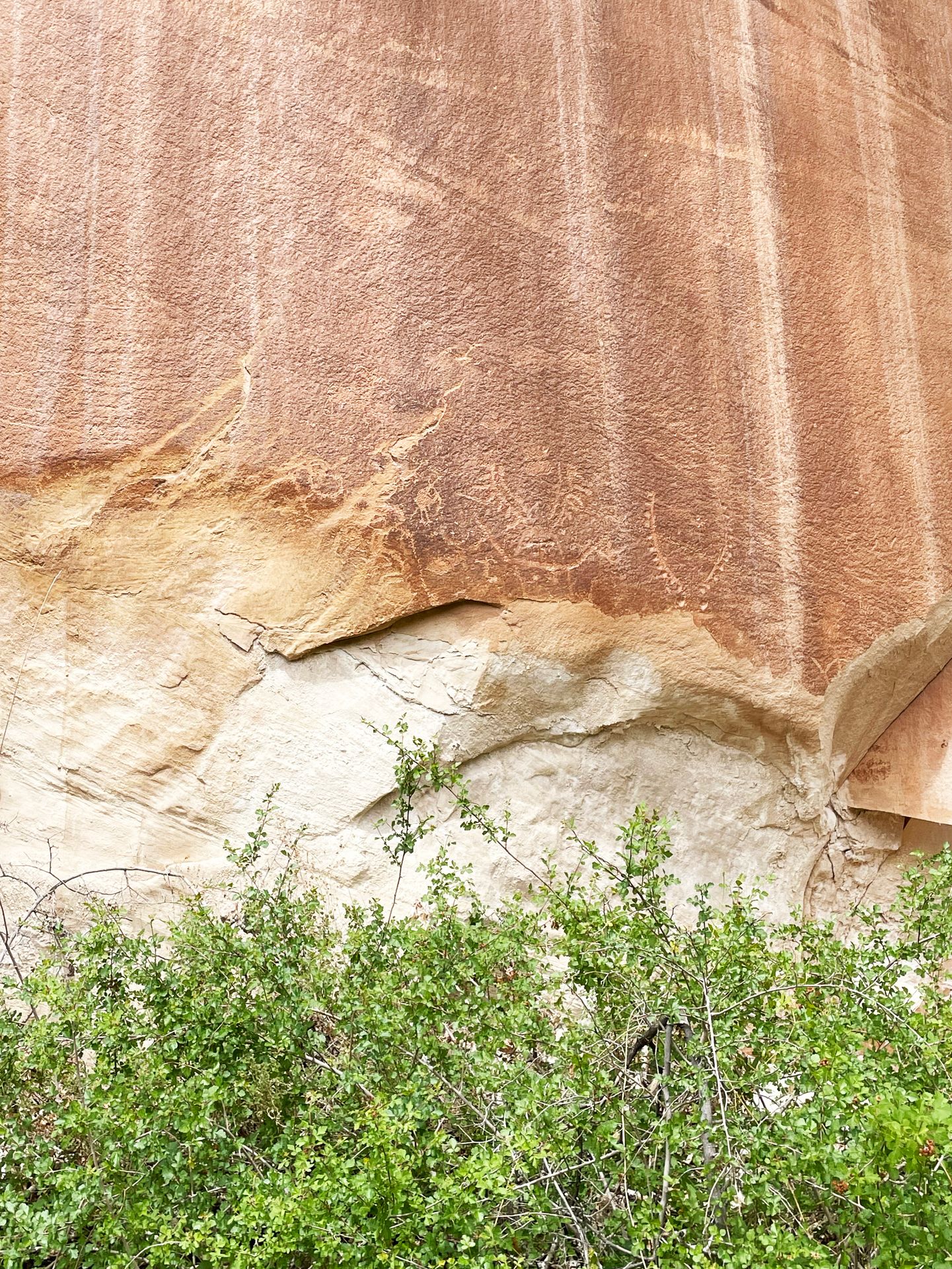 A rock wall with some faint petroglpyhs carved in it.
