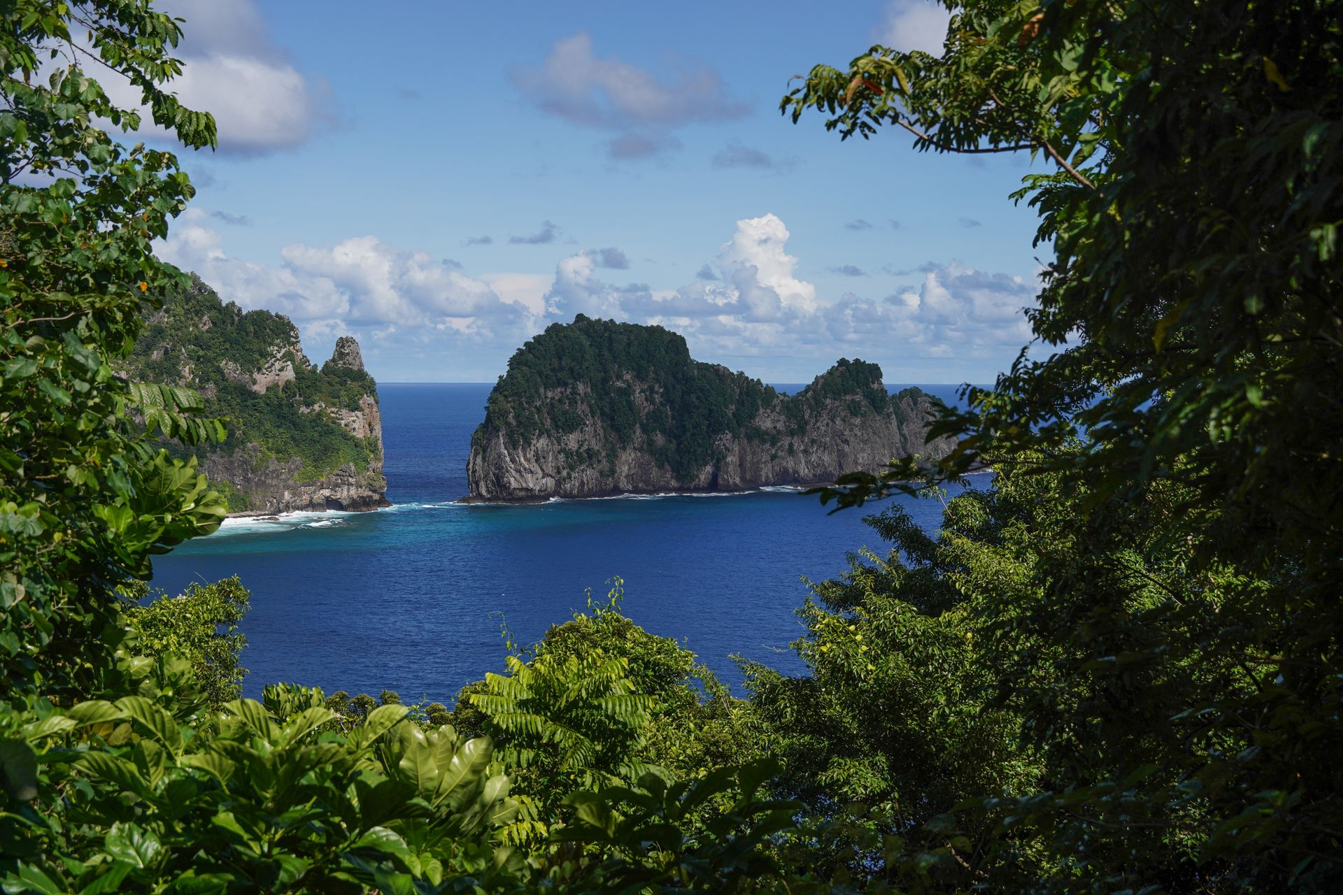 An overlook with a view of Pola Island seen from through a window of trees