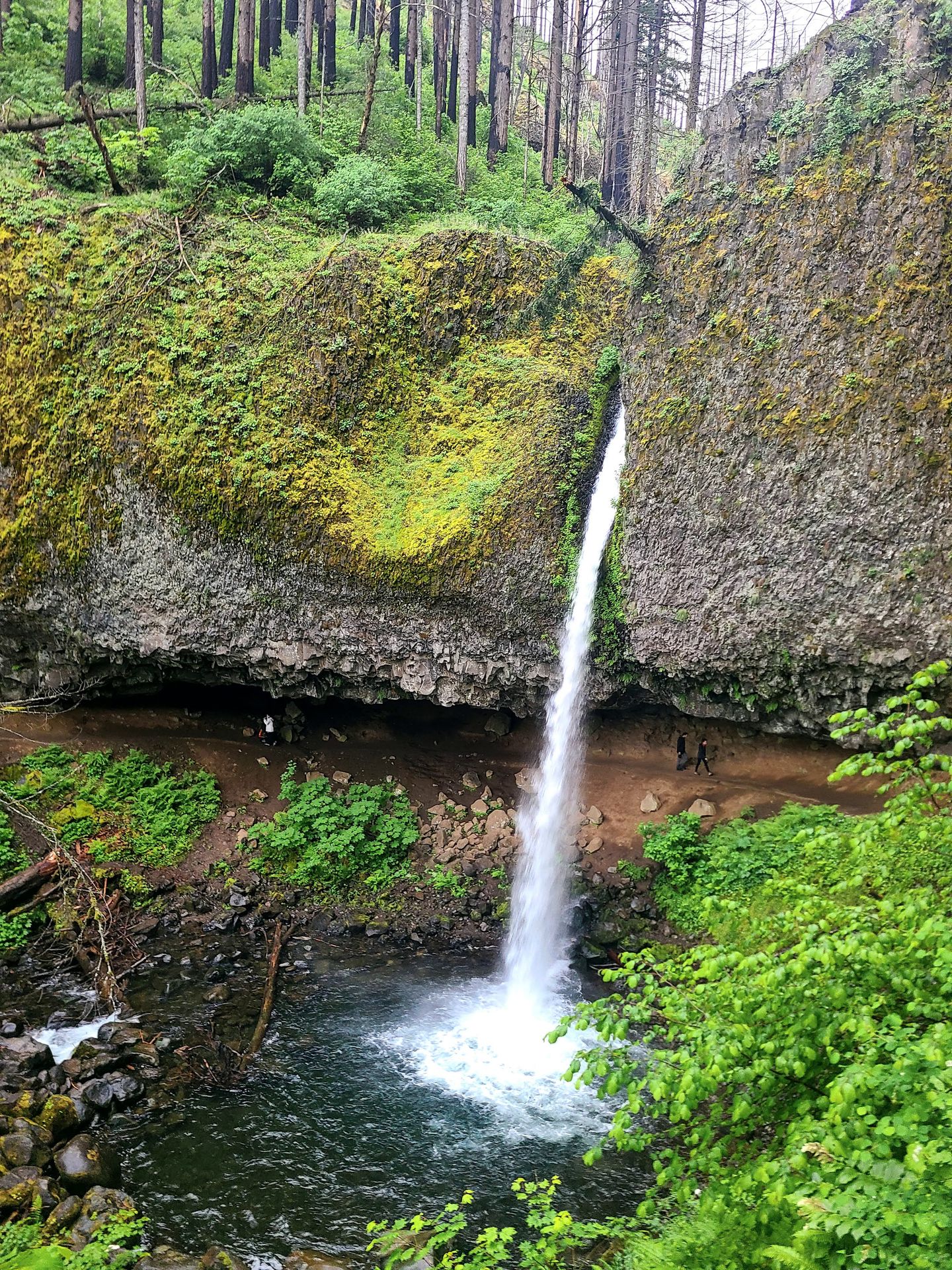 A skinny waterfall that hikers can walk behind under a cave overhang