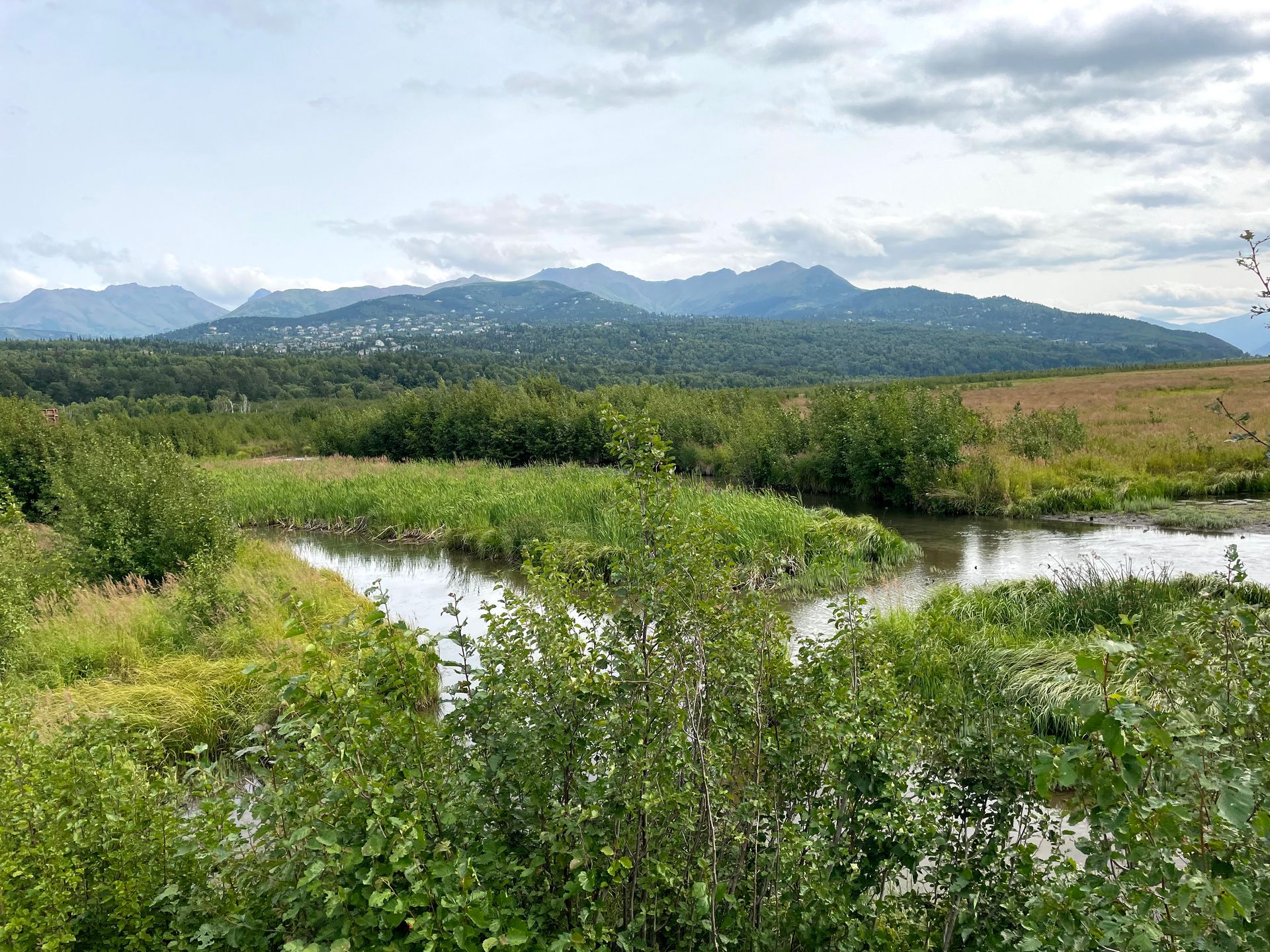 An area of greenery and water with mountains in the distance.