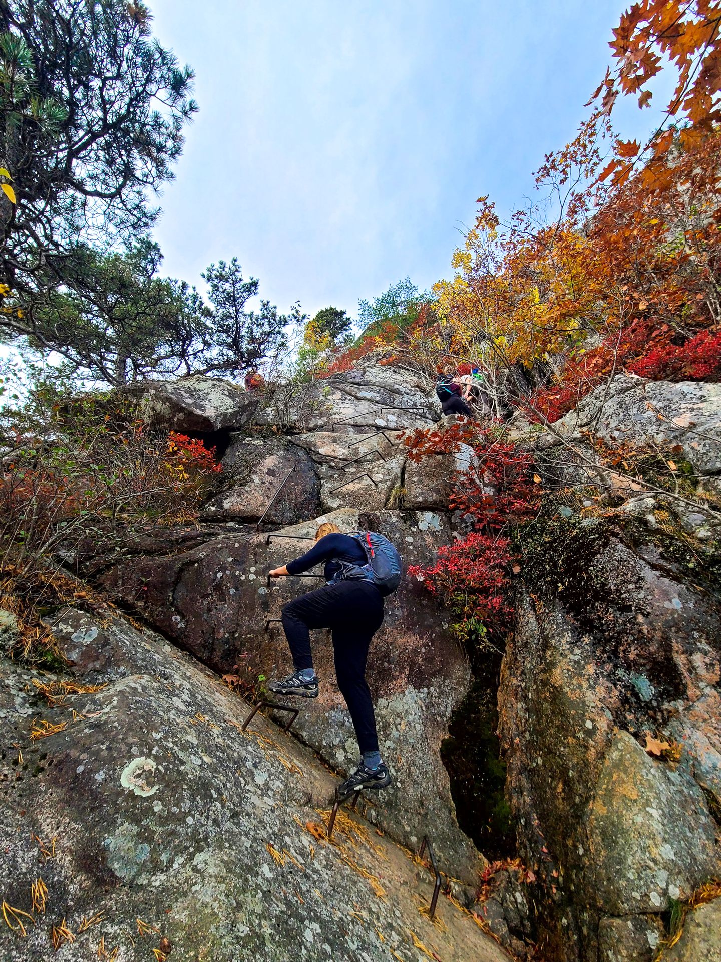 Lydia climbing up metal rungs on the Precipice Trail