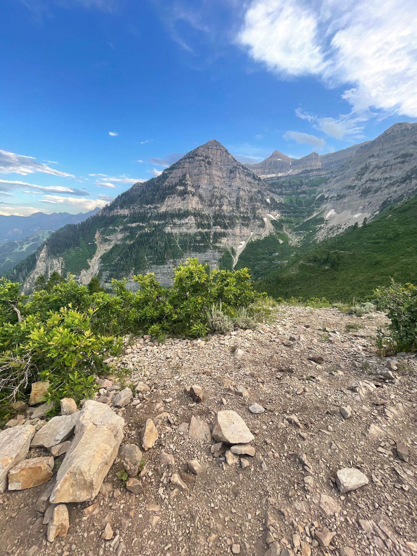A view from Primrose Overlook of a mountain covered in greenery.