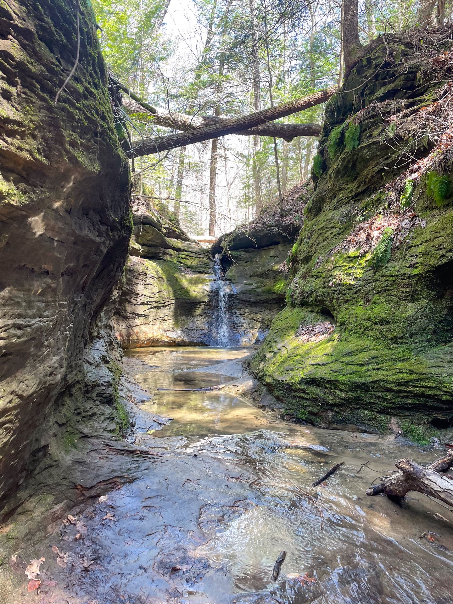 A waterfall tucked away in a small canyon in Turkey Run State Park