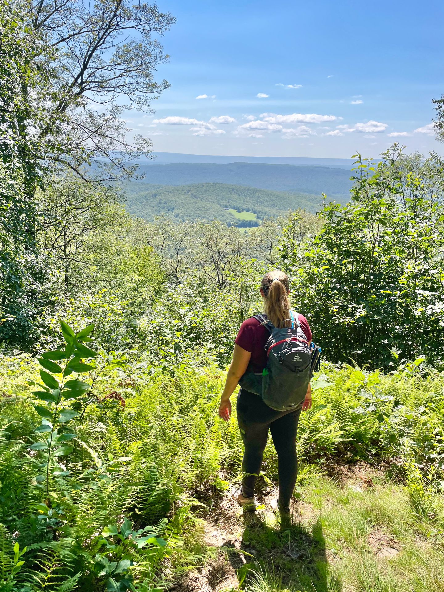 Lydia looking out at the view of a valley with rolling green hills on the Allegheny Front Trail.