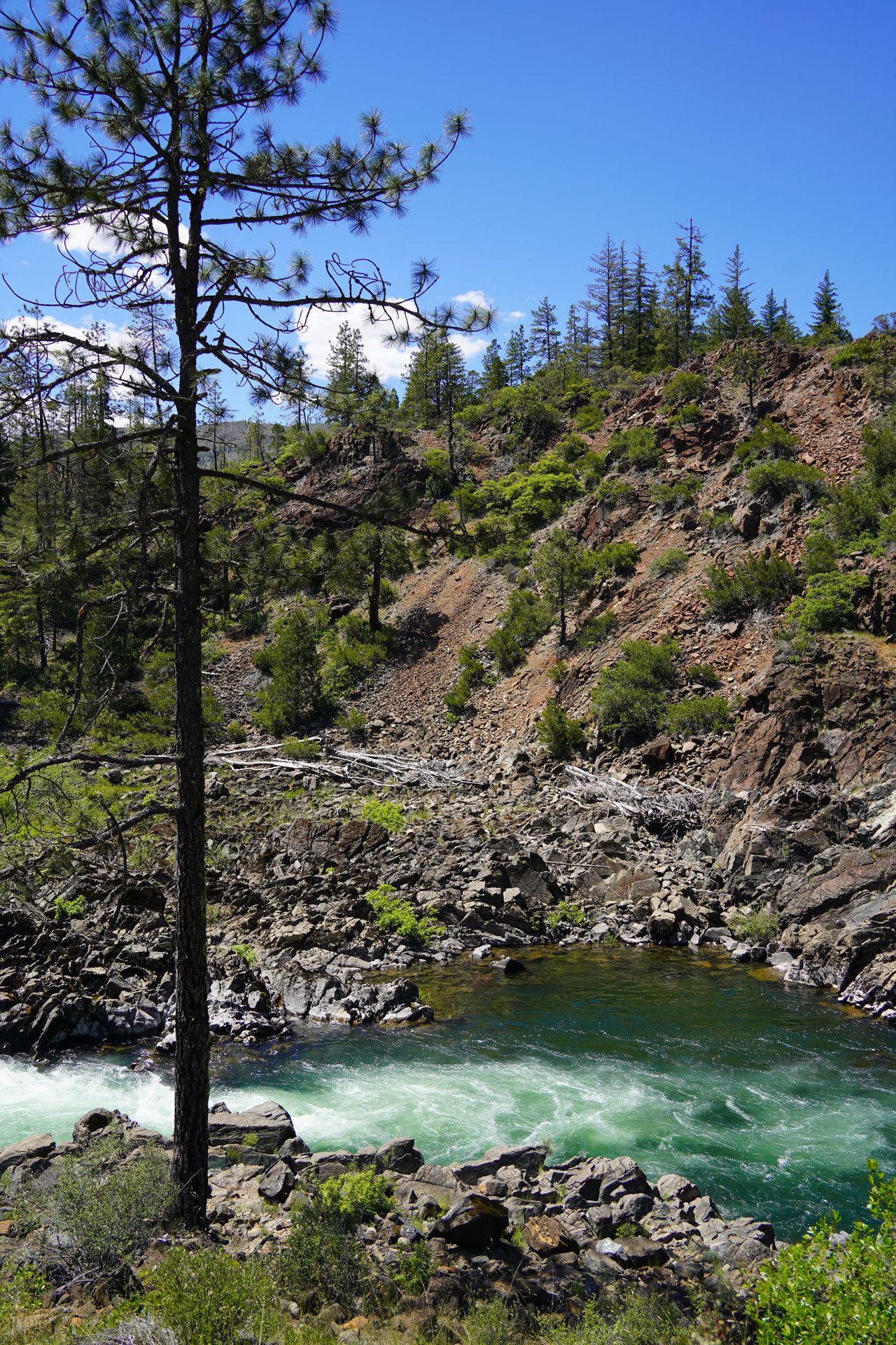 Rapids in the Illinois River next to a rocky shoreline