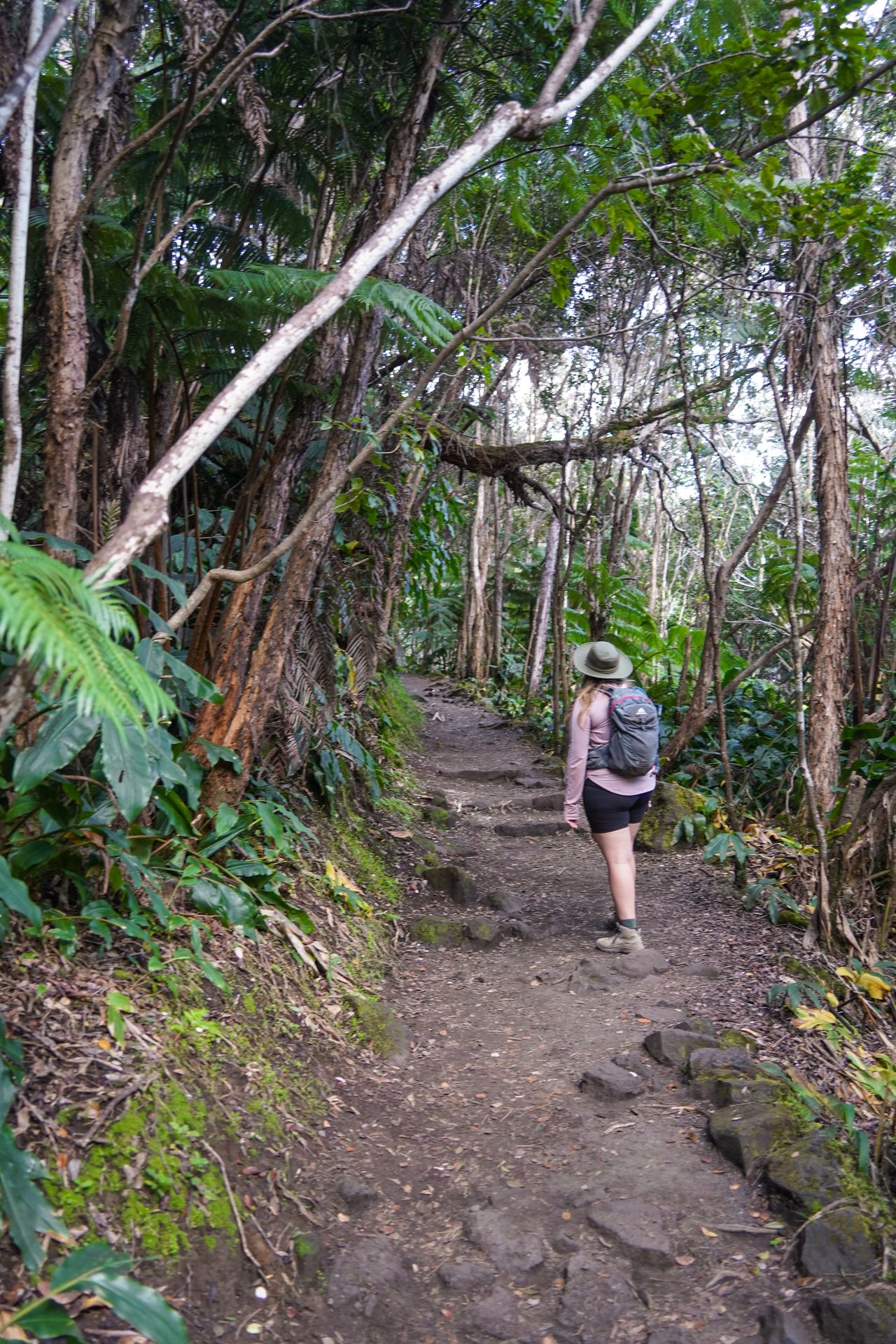 Lydia hiking through a path of a trees and greenery on the Kilauea Craters Trail