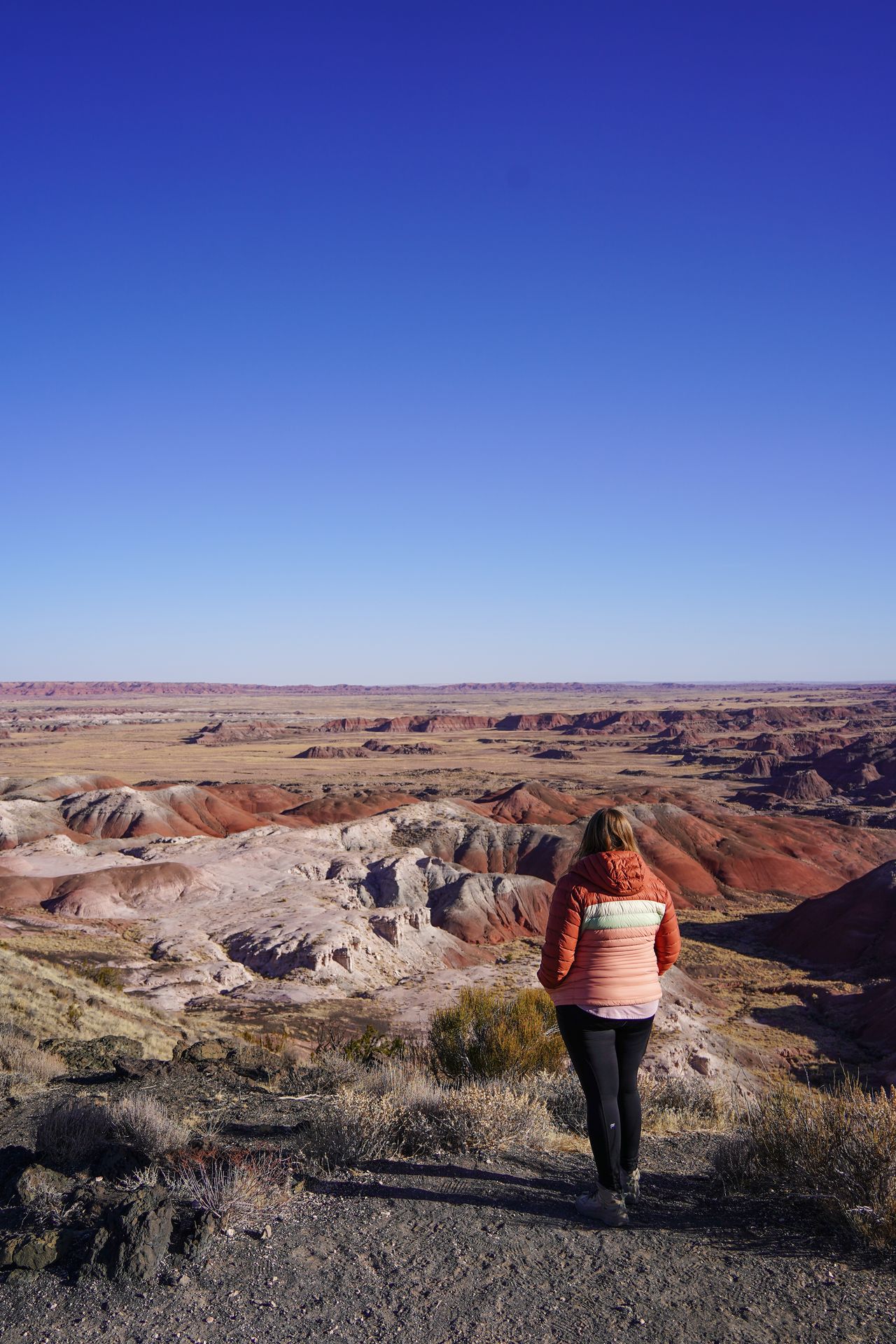 Lydia looking out at red and white rocks from the Desert Rim Trail