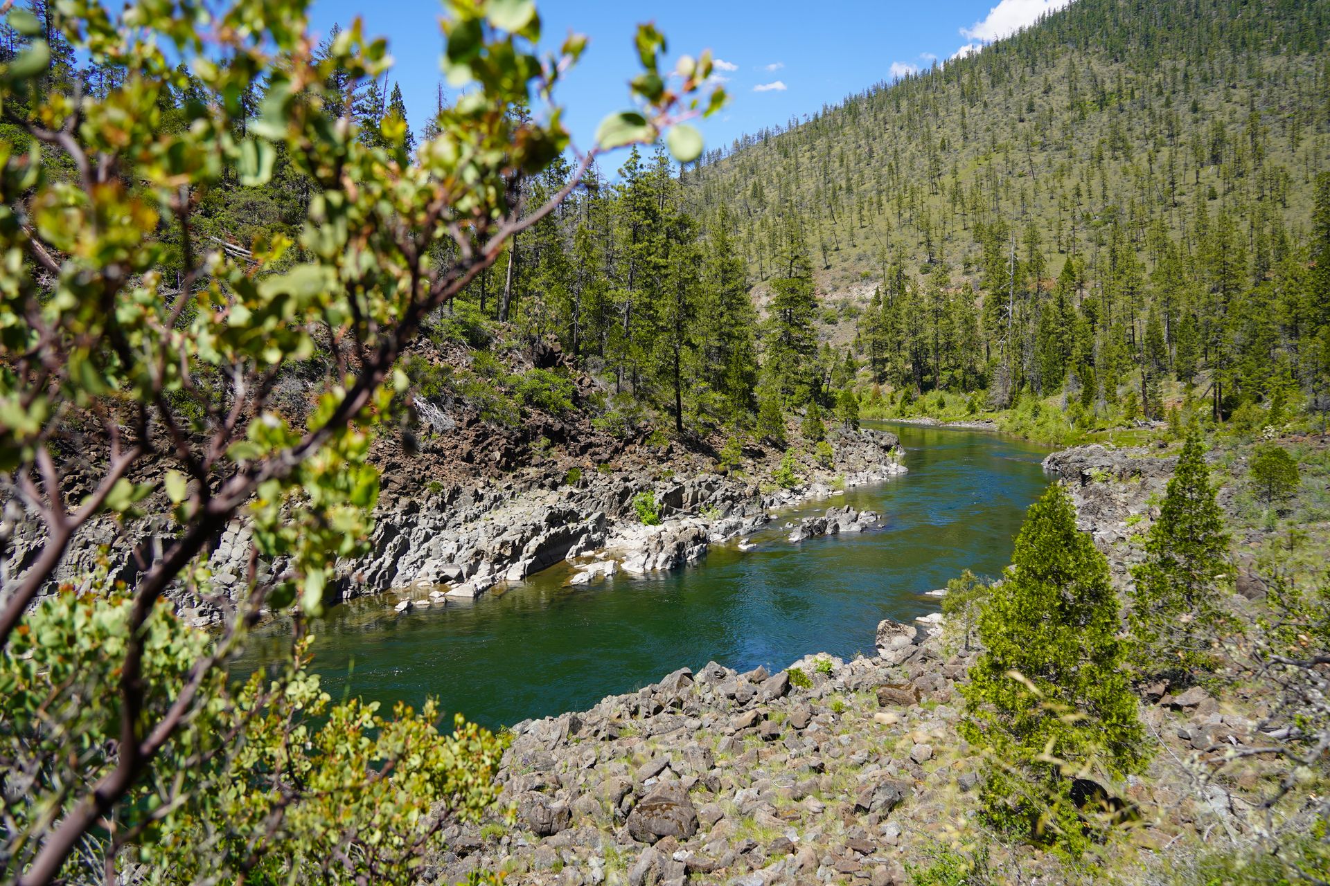 A view of the Illinois River from the Little Illinois Falls Trail