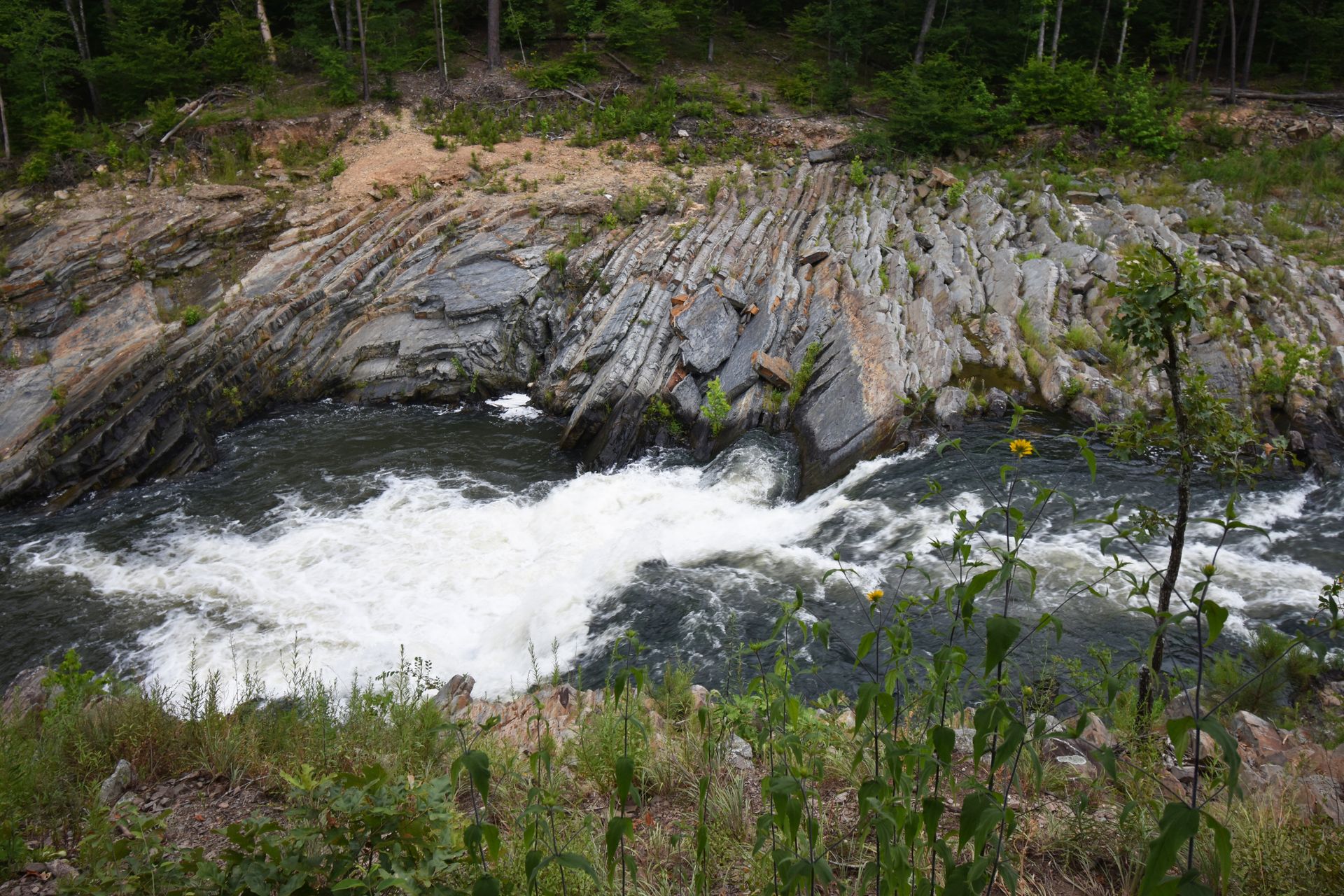 Looking down at the river along the Friends Loop trail. There are interesting rocks next to the water and greenery on both sides of the water.