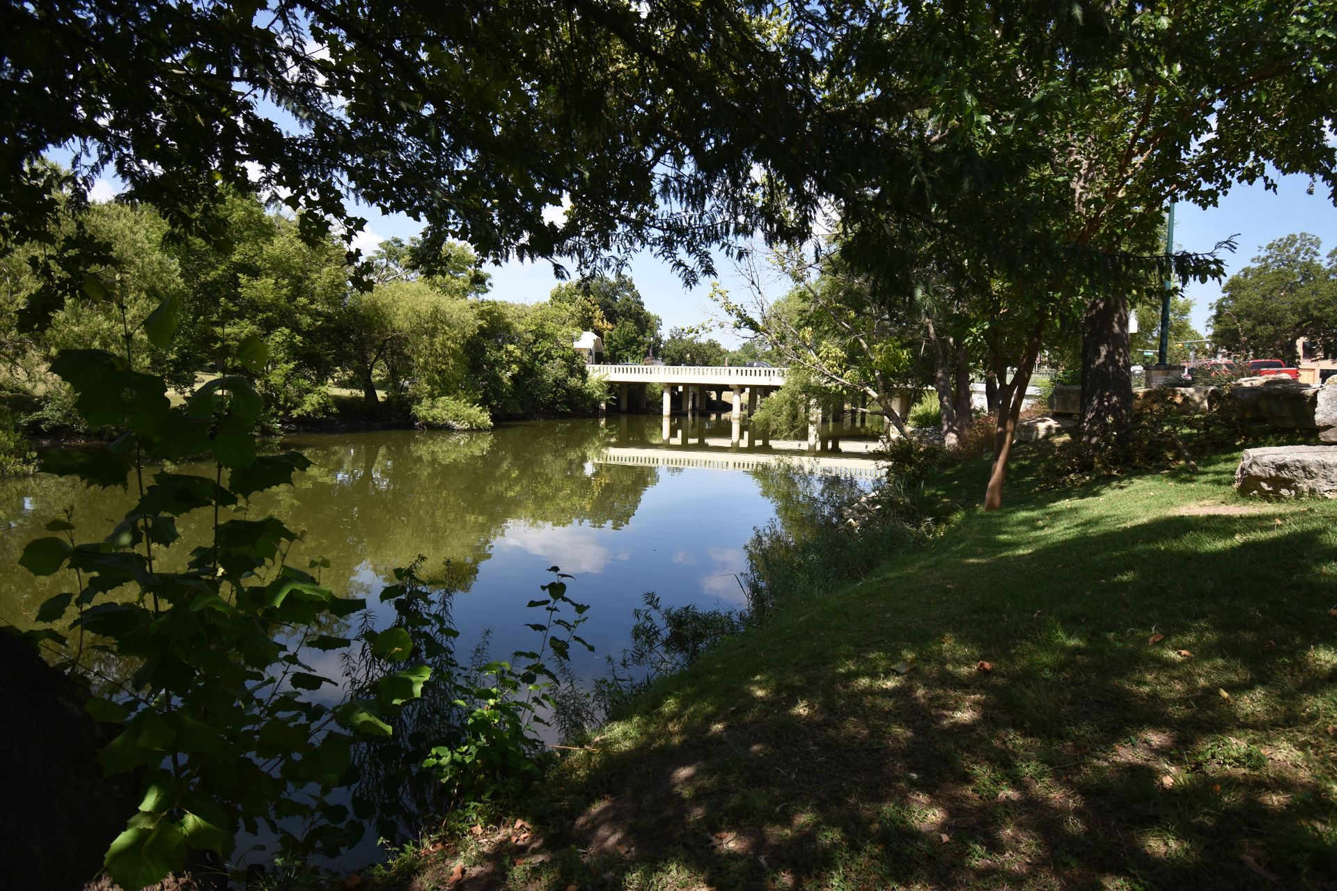 Looking through trees at the river and a bridge in the distance.
