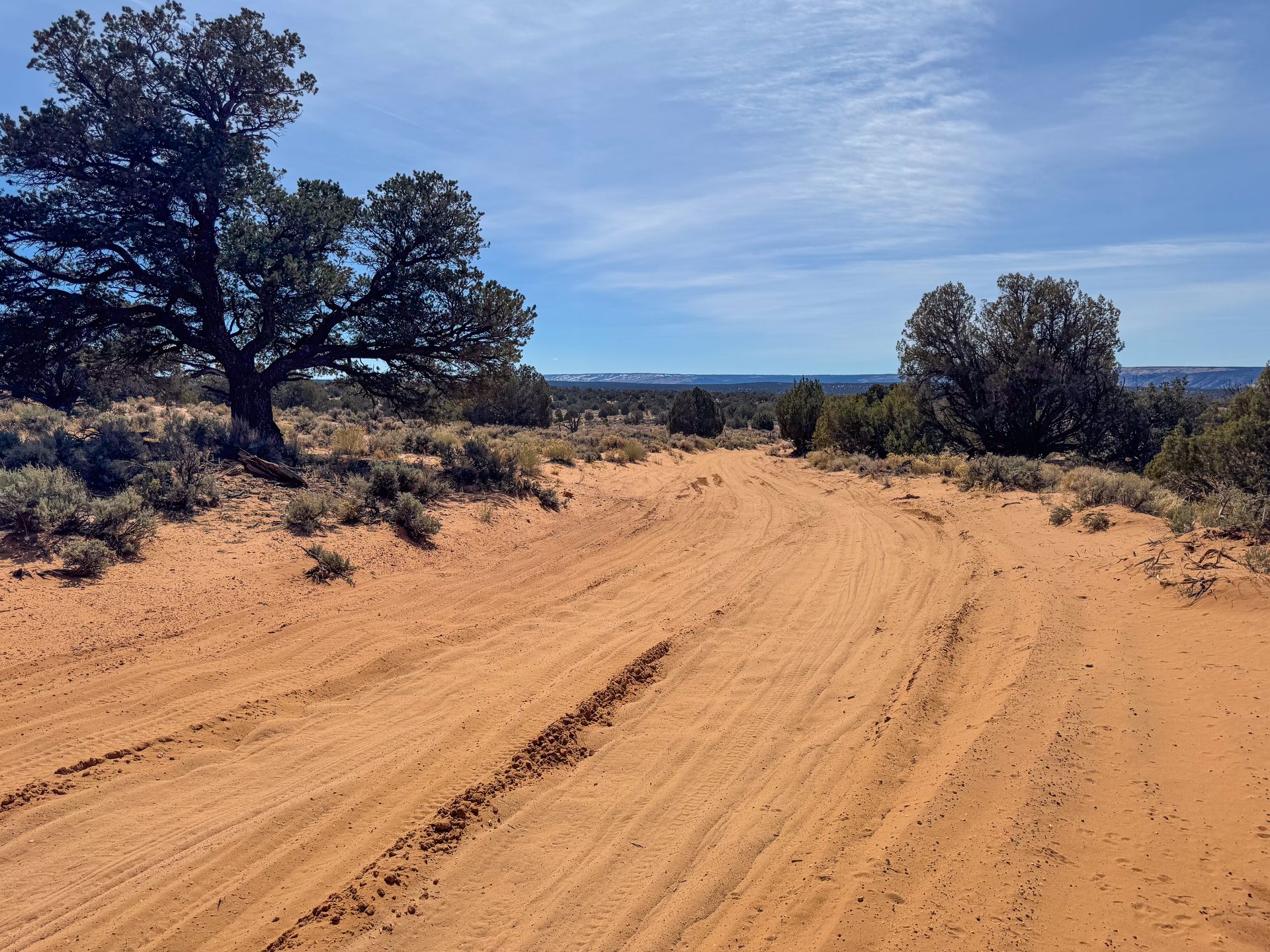 The sandy road you'll take to reach White Pocket