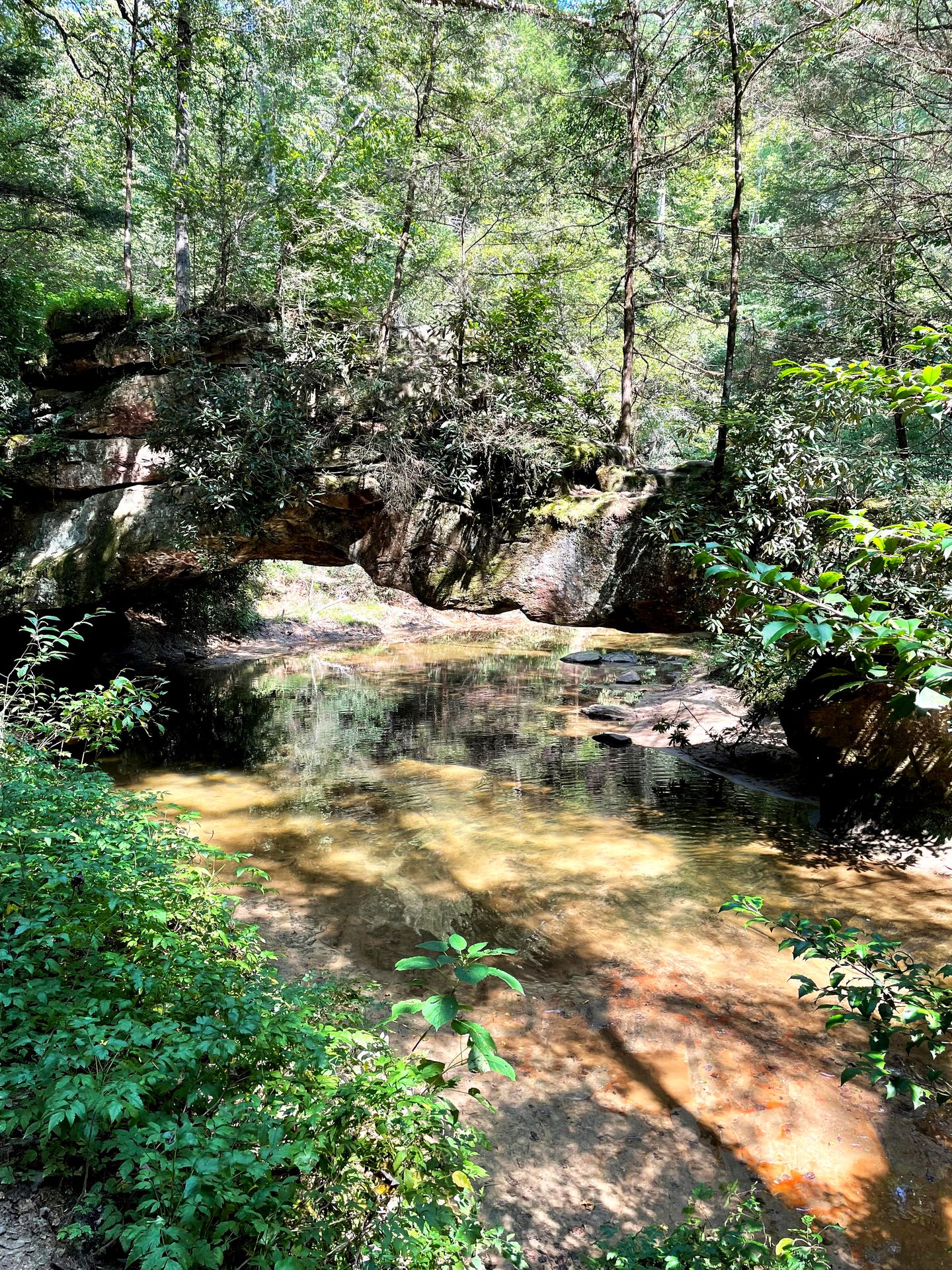 A rock bridge going over the river with greenery on top of it.