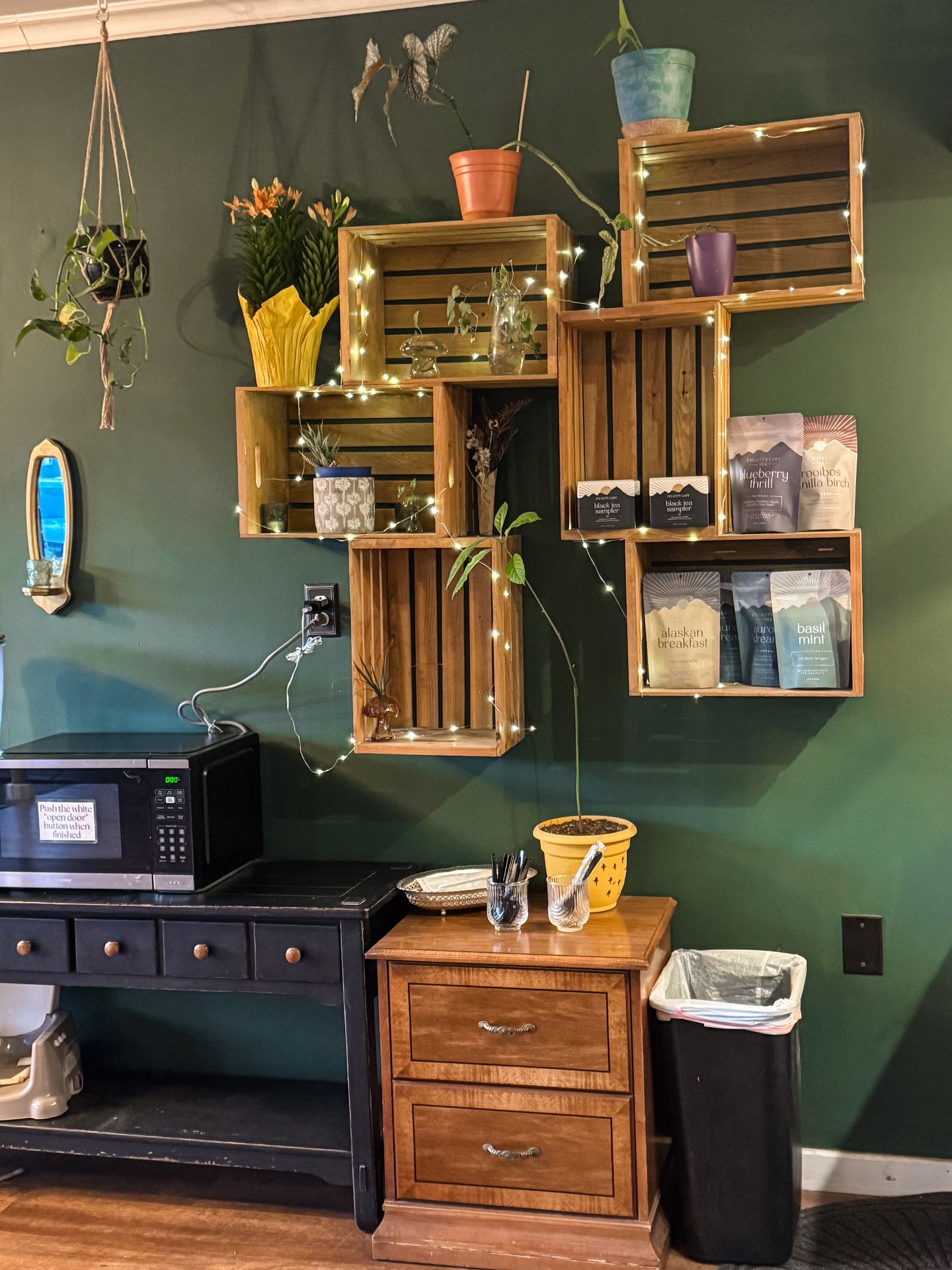 Boxes on the wall with some string lights, plants and bags of coffee at The Rowdy Radish