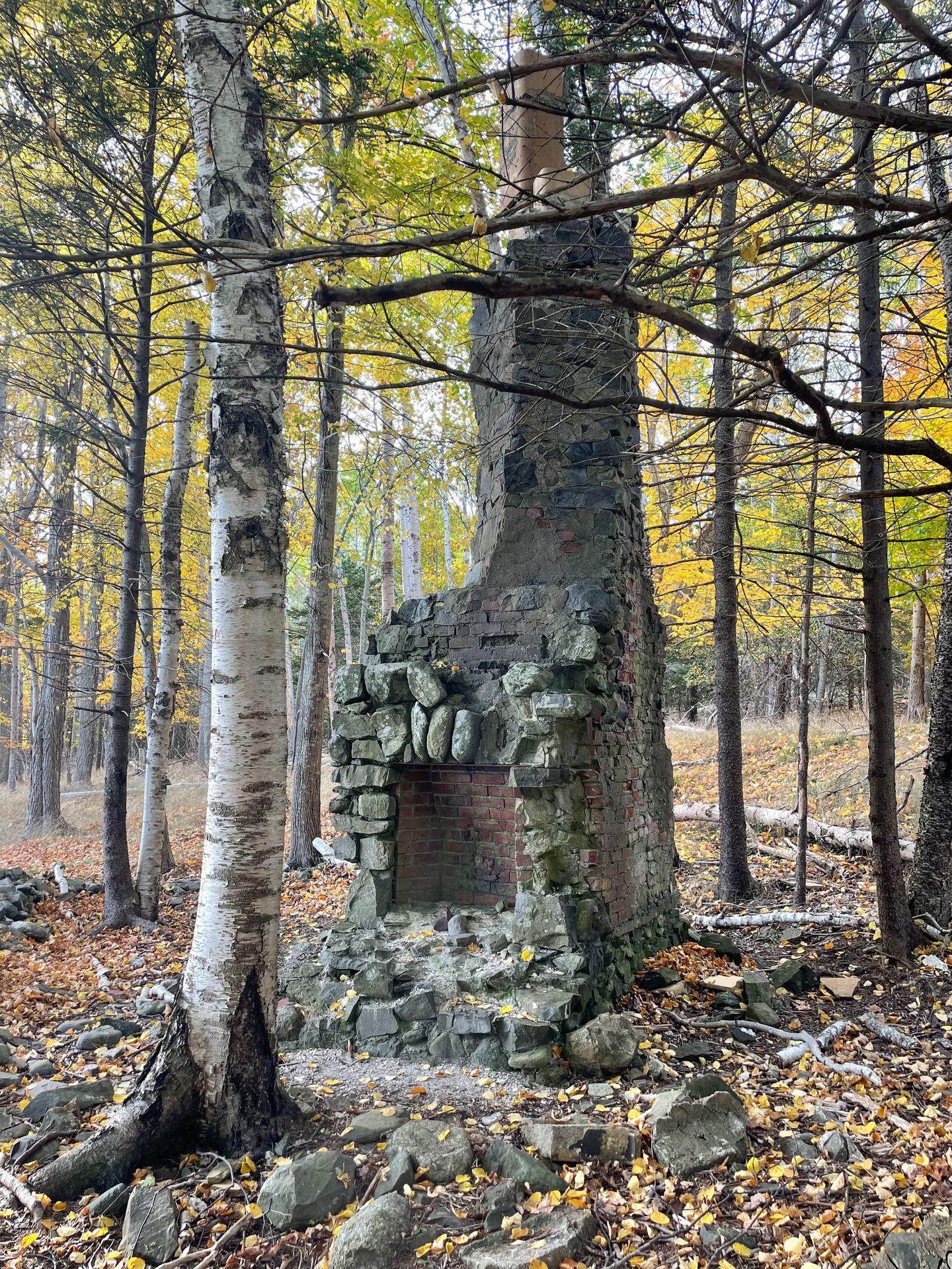 An old stone fireplace on Bar Island.