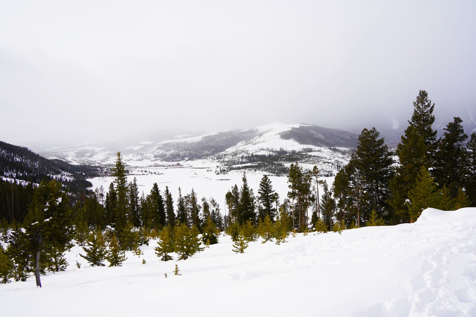 A view of a mountain covered in snow, which some green trees in the foreground.