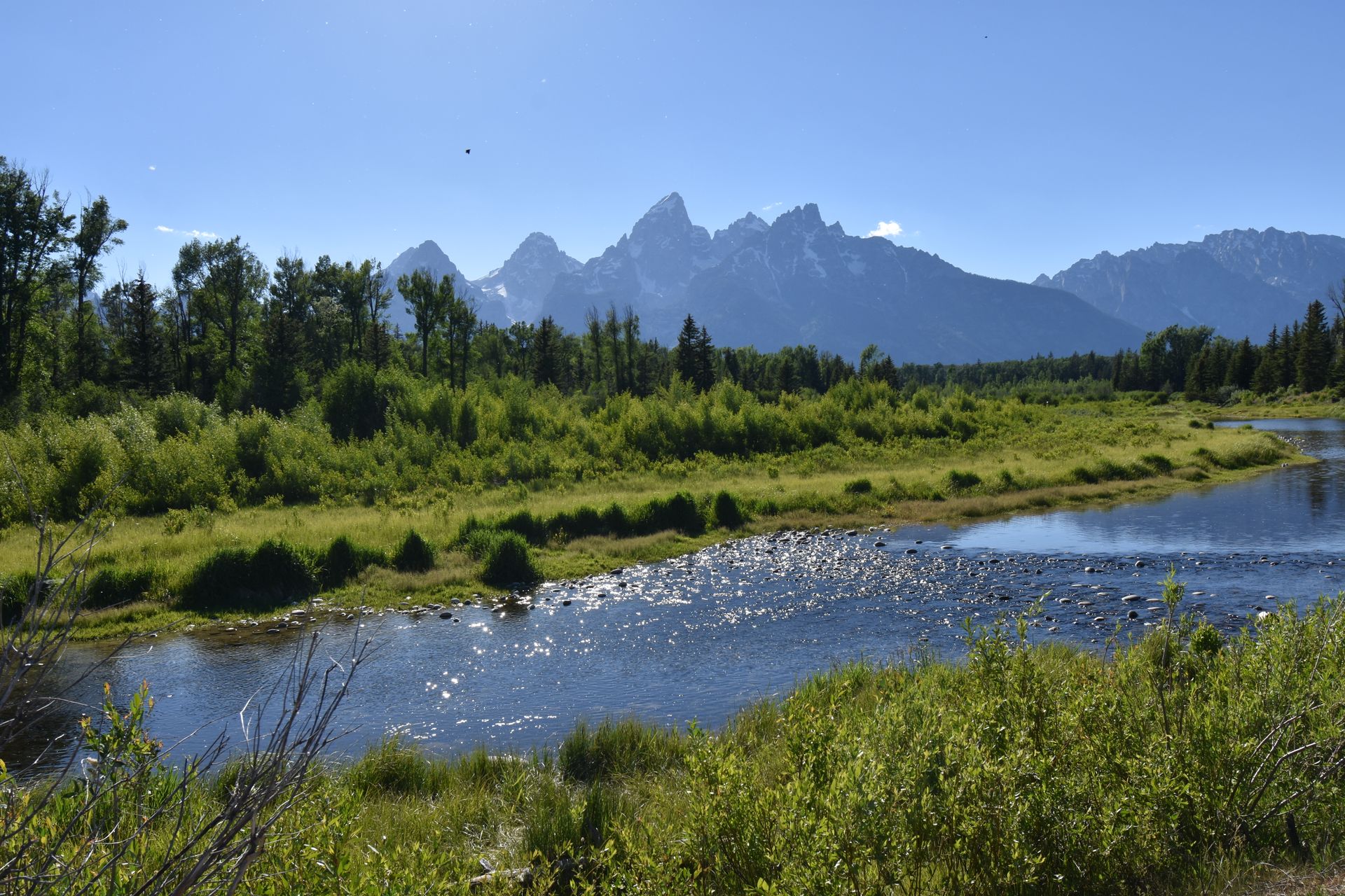A river surrounded by green grass and trees with mountains in the distance.