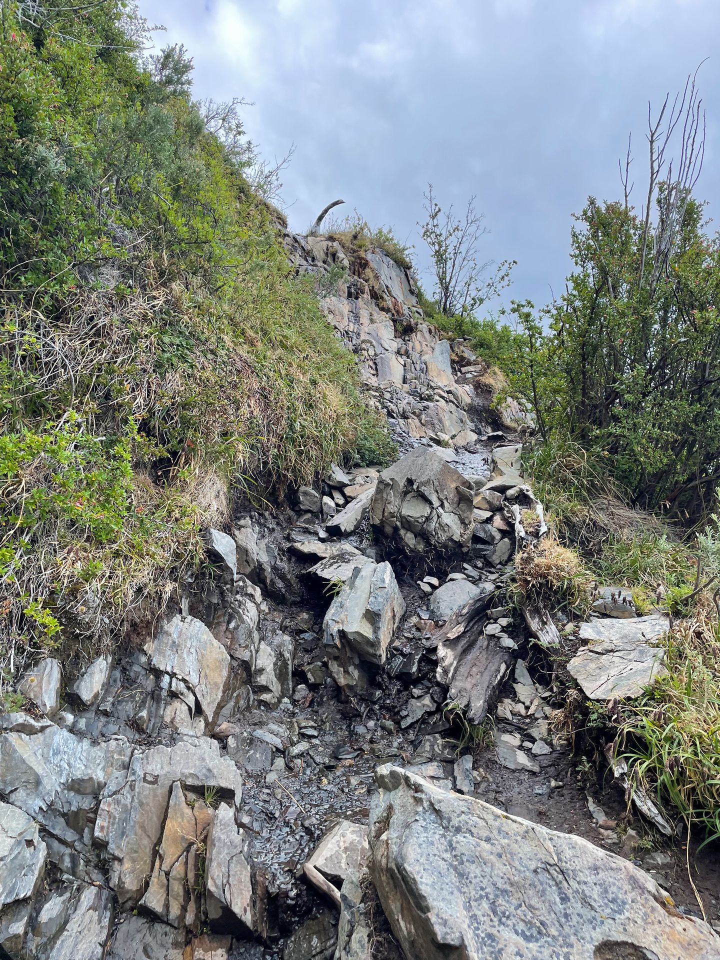 A rocky trail with several rocks to climb up.