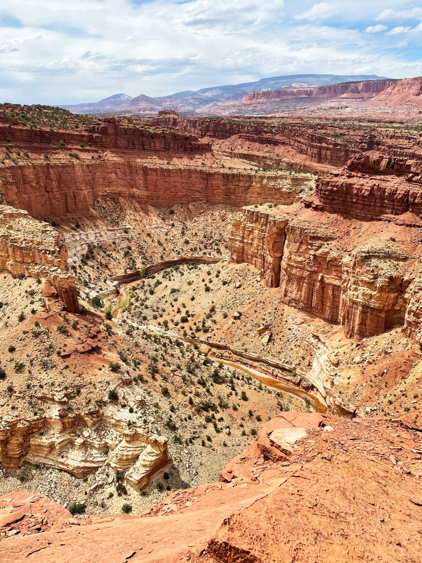An S-shaped curve in a river seen from the Goosenecks Overlook in Capitol Reef.