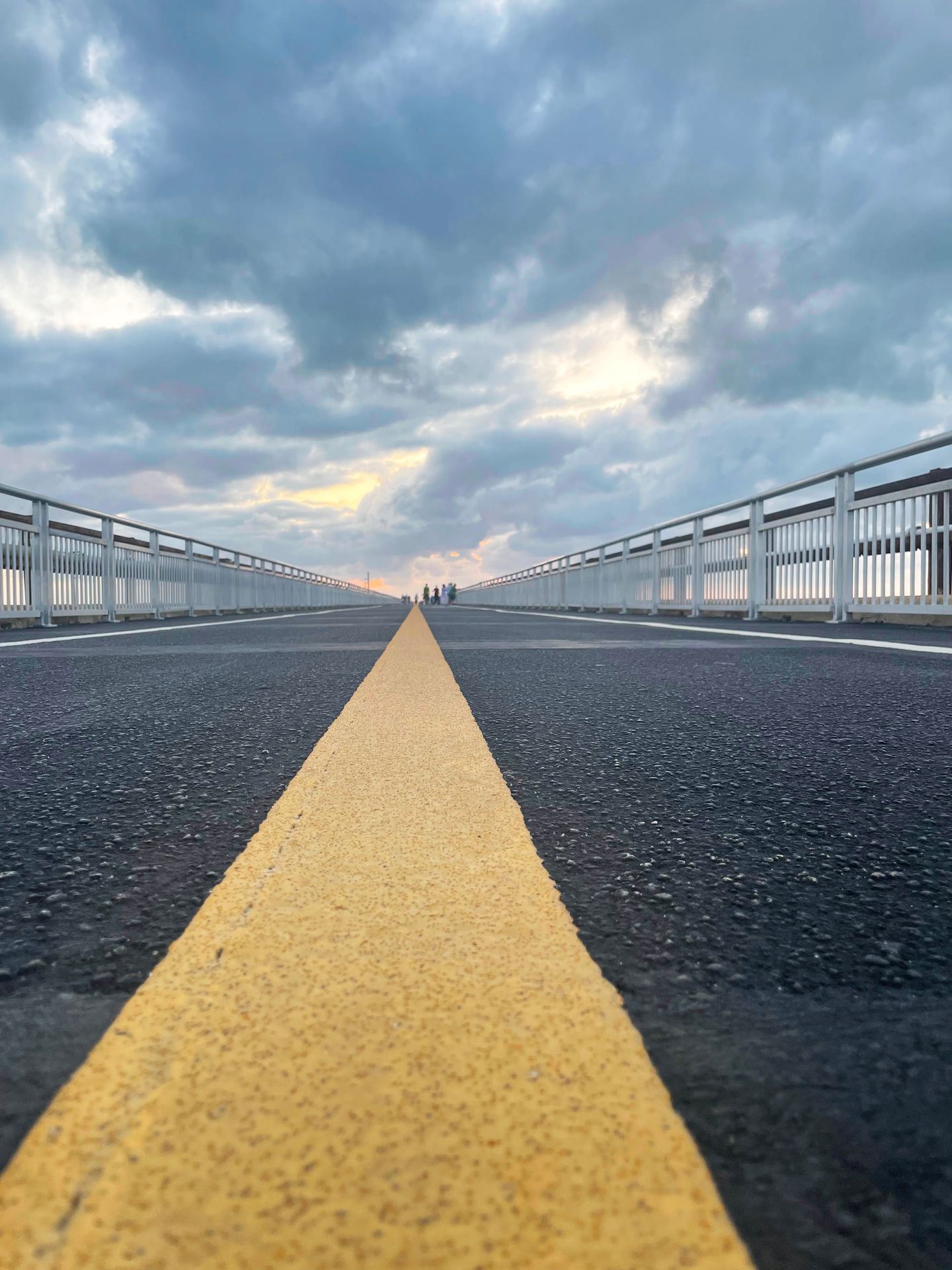 A close up photo on the ground of the Seven Mile Pedestrian Bridge