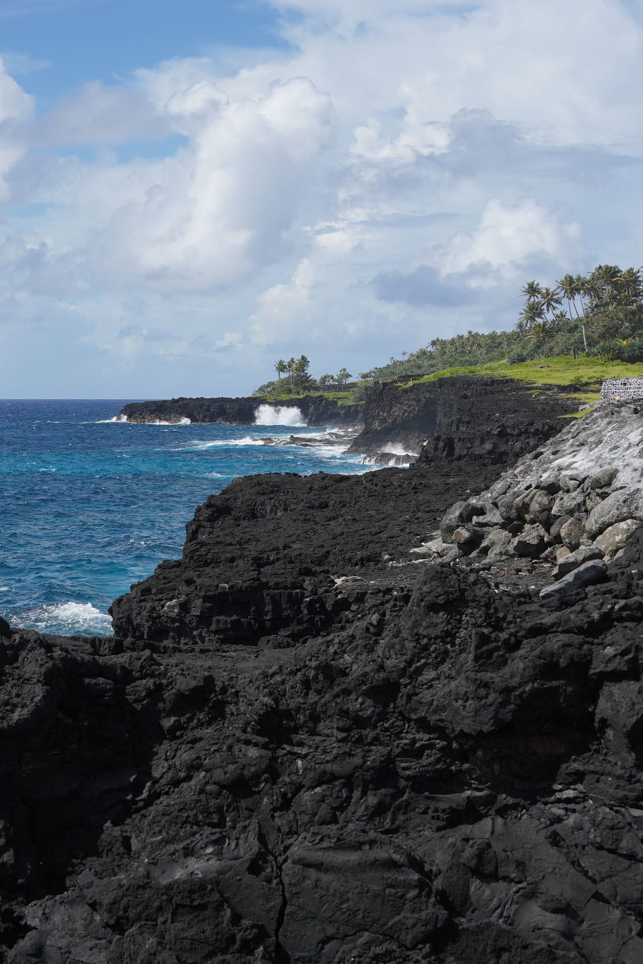A coast made up of black rocks