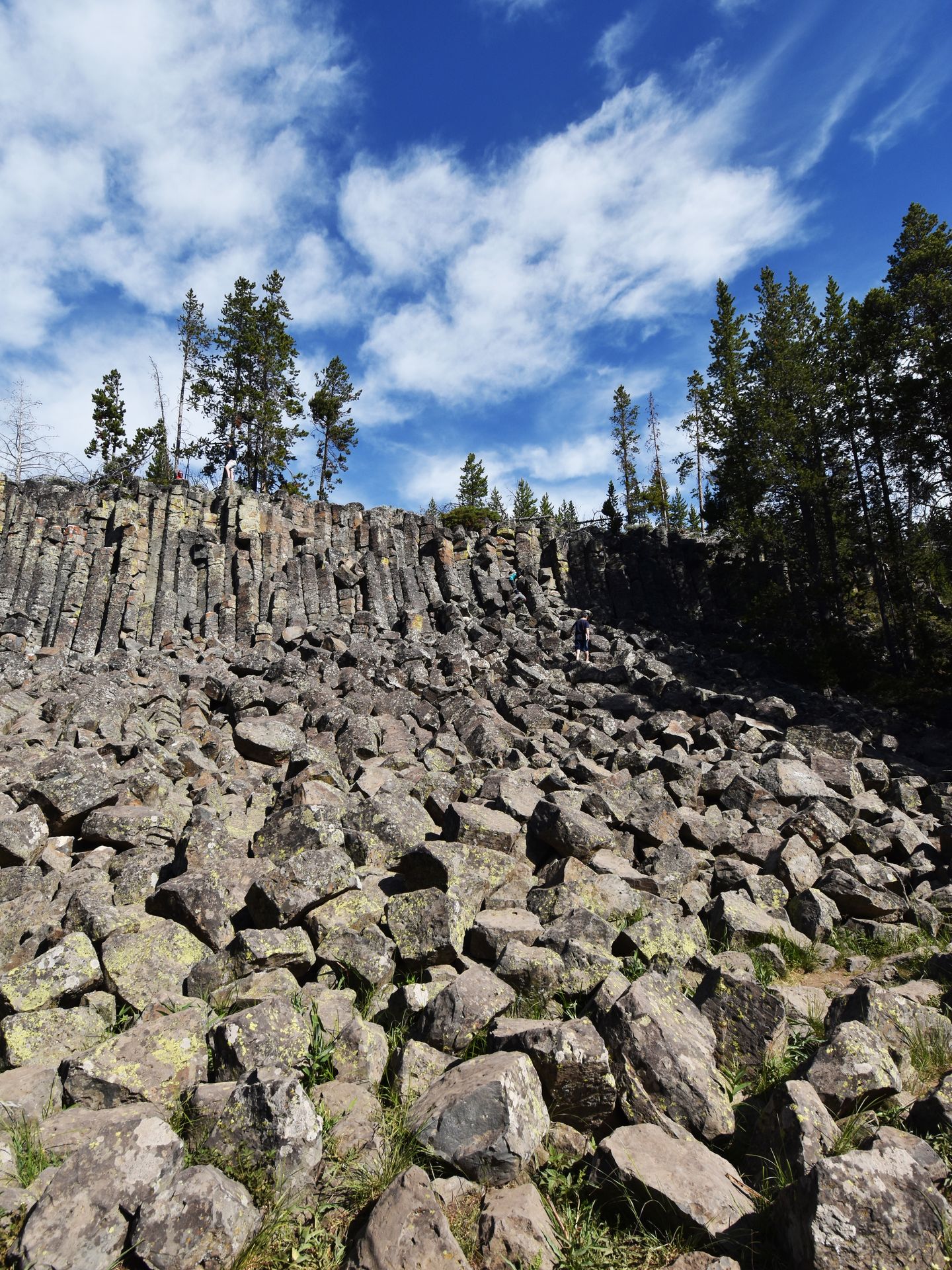 A cliff made of rock pillars at Sheepeater Cliff.