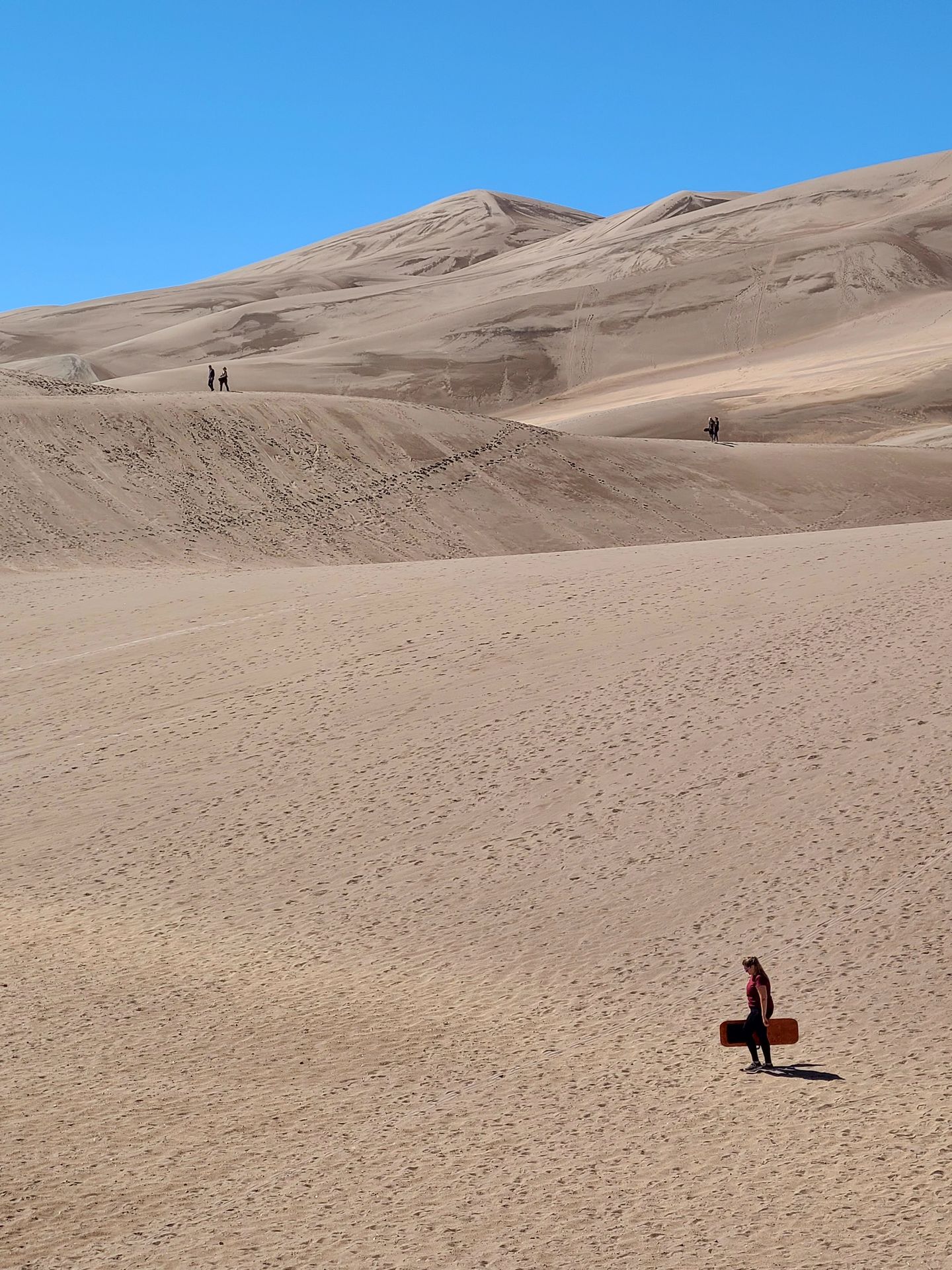 Lydia walking with a sand sled at the bottom of a hill, and a few other people walking in the distance
