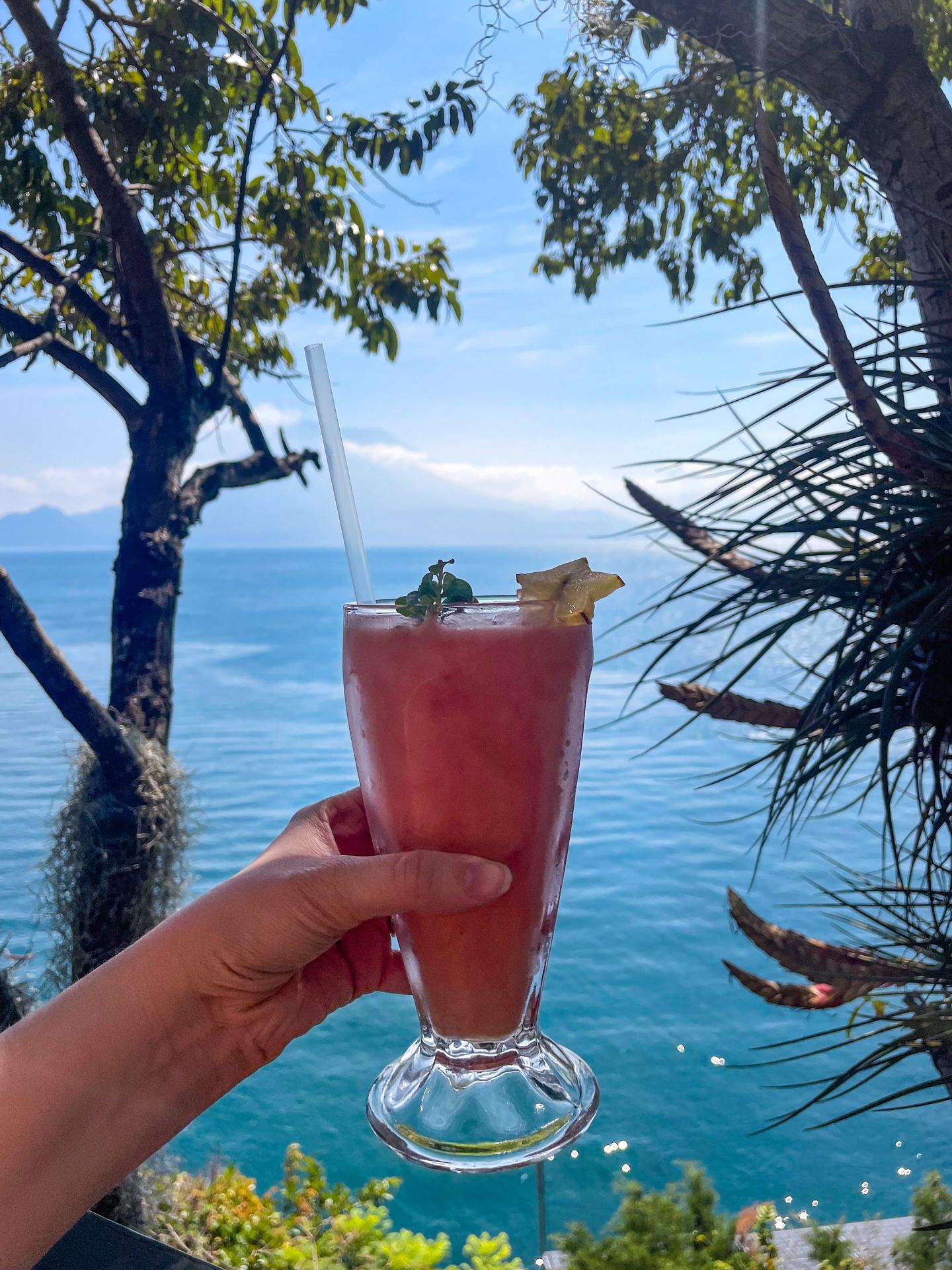 Holding up a smoothie in front of the water at La Casa del Mundo