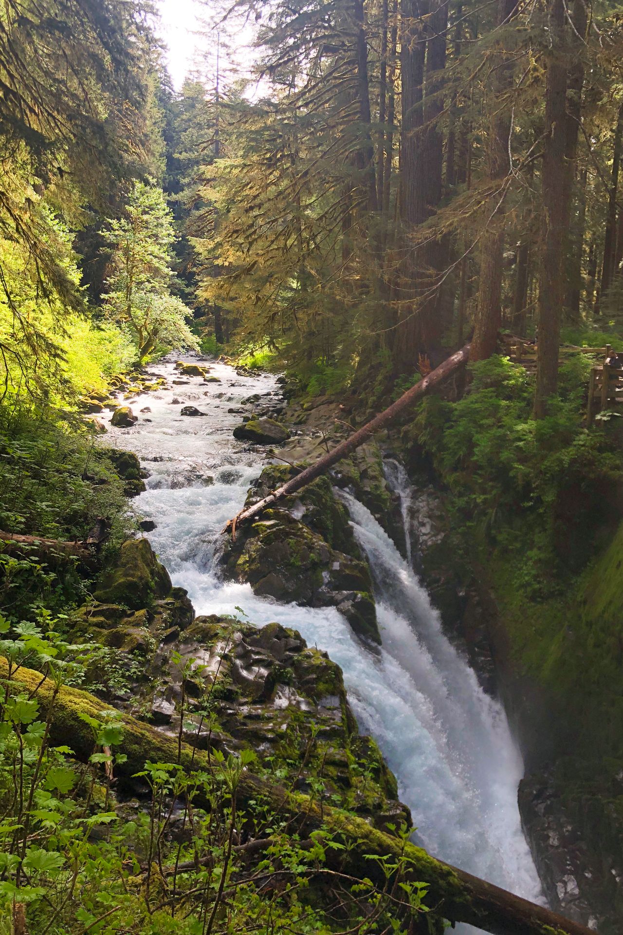 A waterfall surrounded by mossy boulders that turns and splits into a few streams