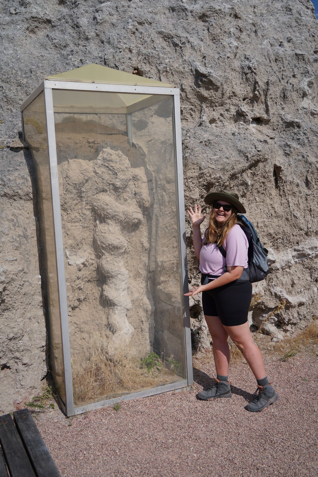 Lydia standing next to a large daemonelix fossil with a glass box over it on a hiking trail