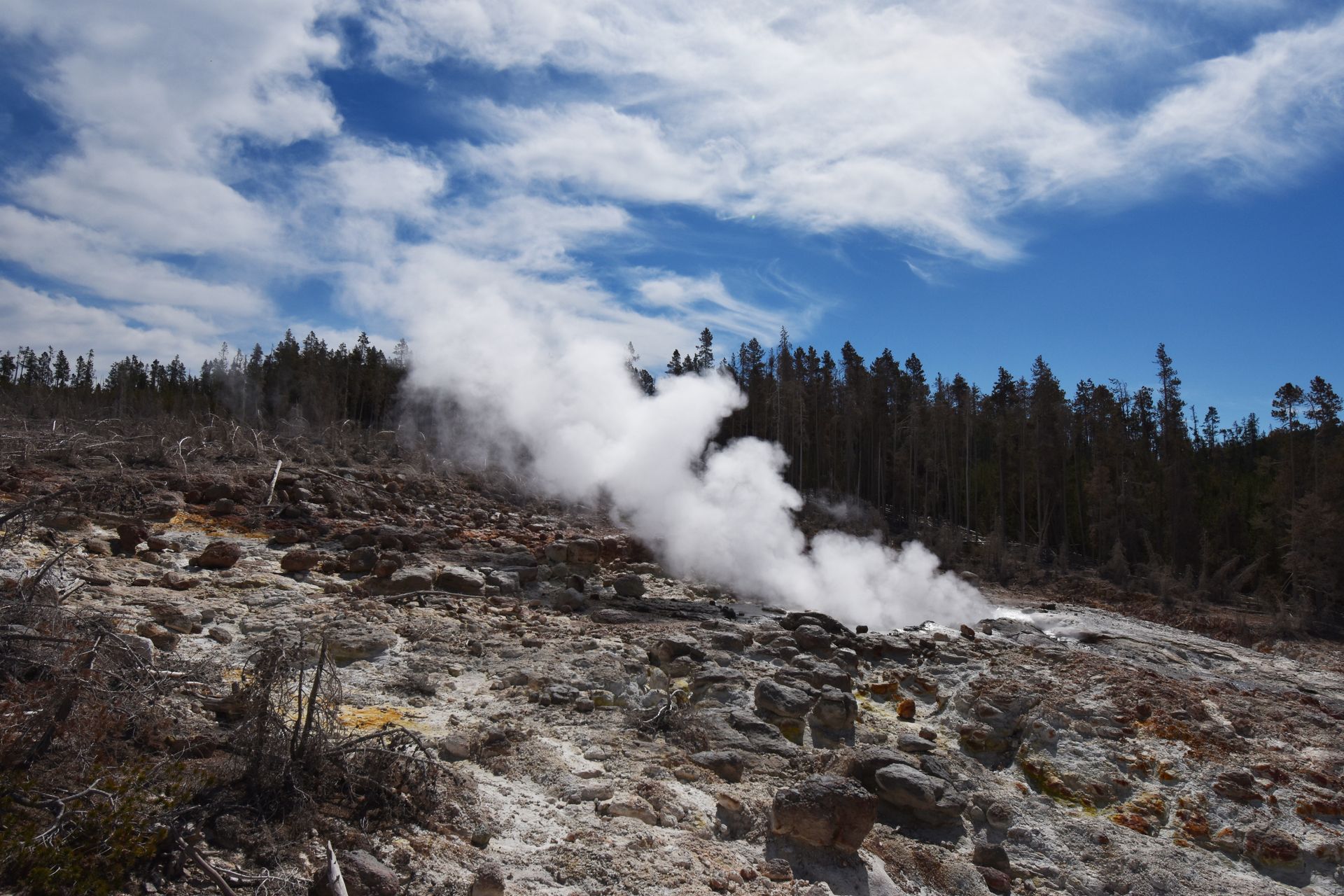 The powerful Steamboat Geyser emitting steam.