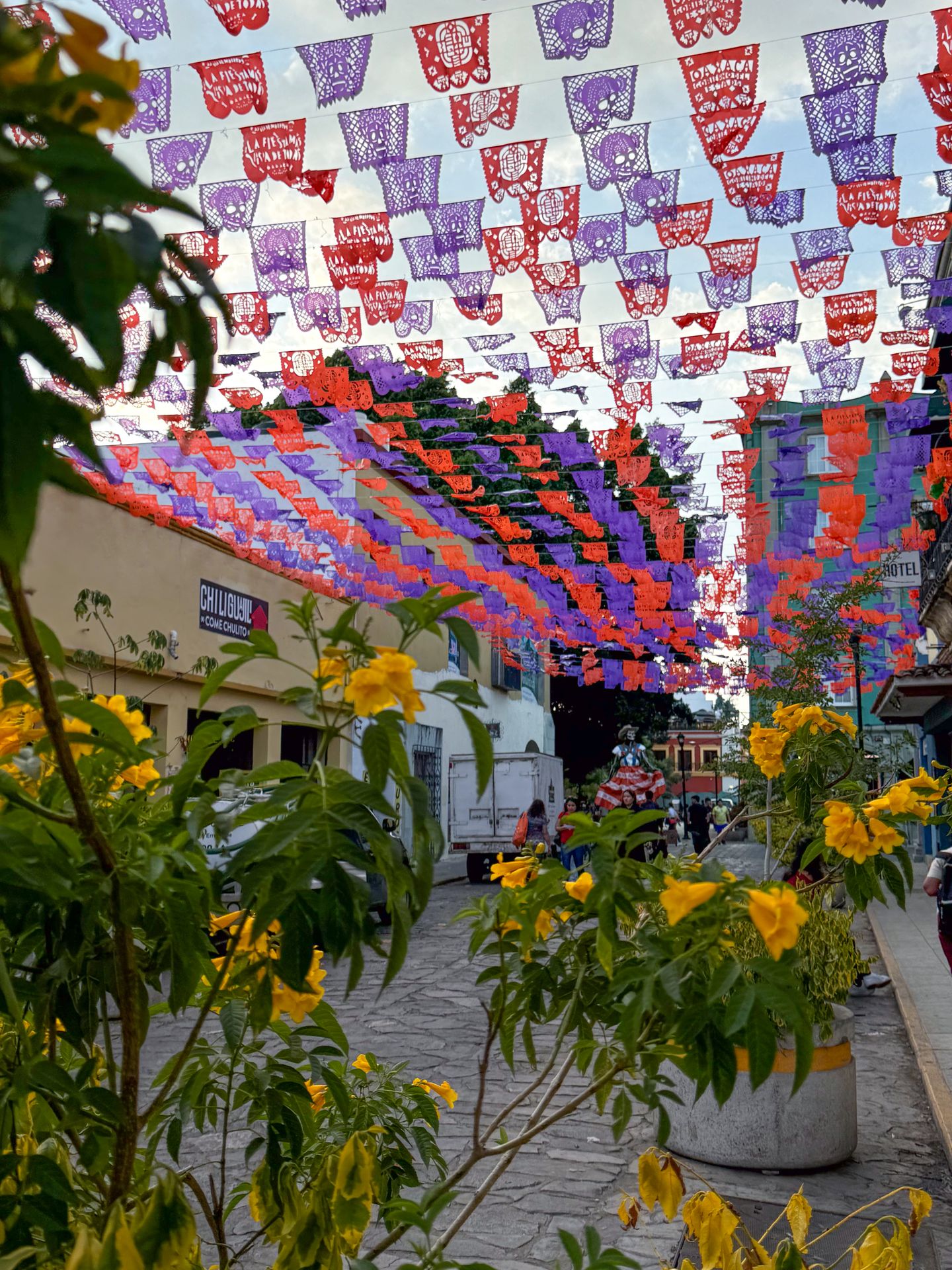 A street with yellow flowers and rows of rainbow flags
