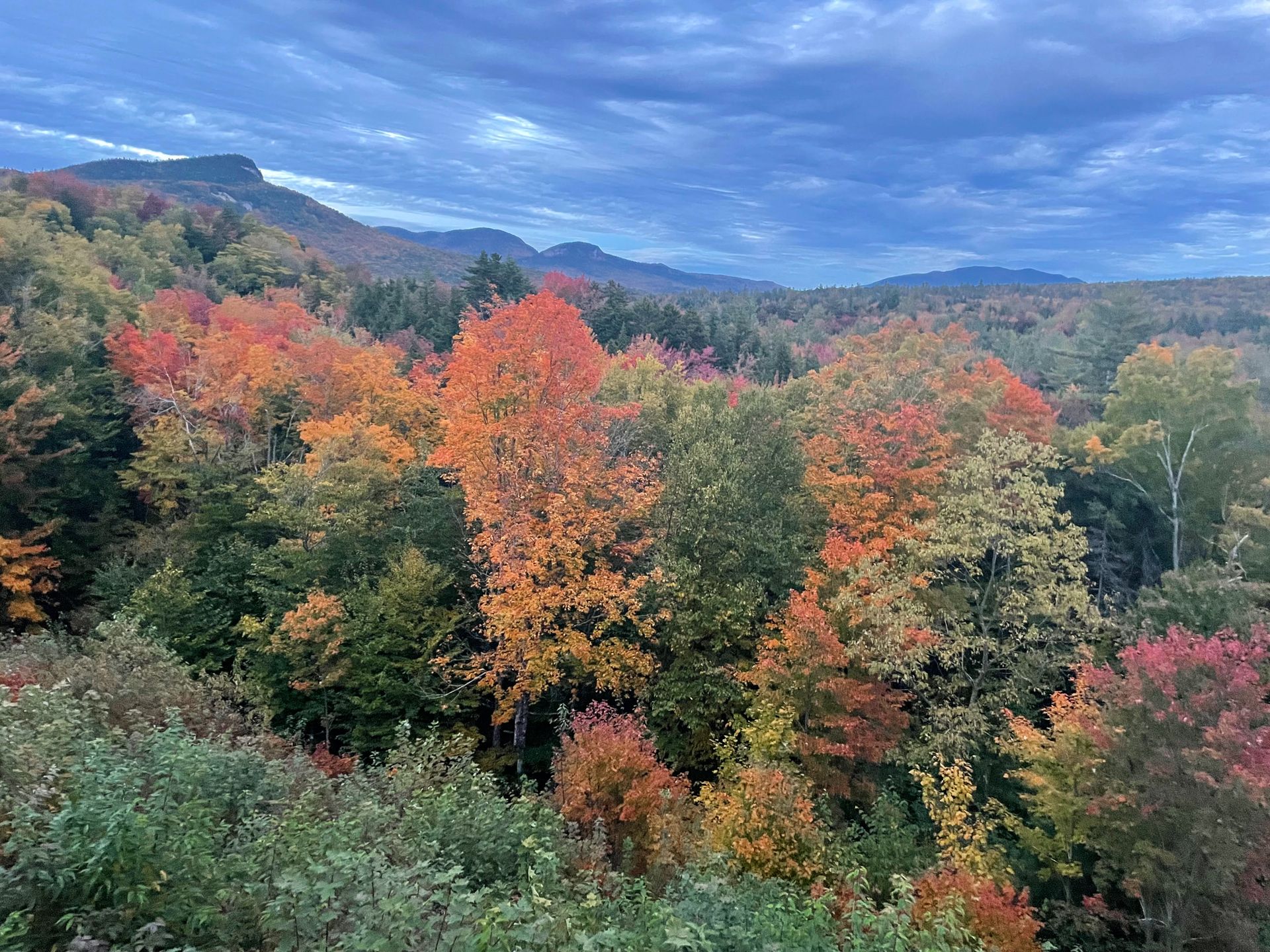 A bright orange tree, plus some other fall foliage, from the Sugar Hill Overlook