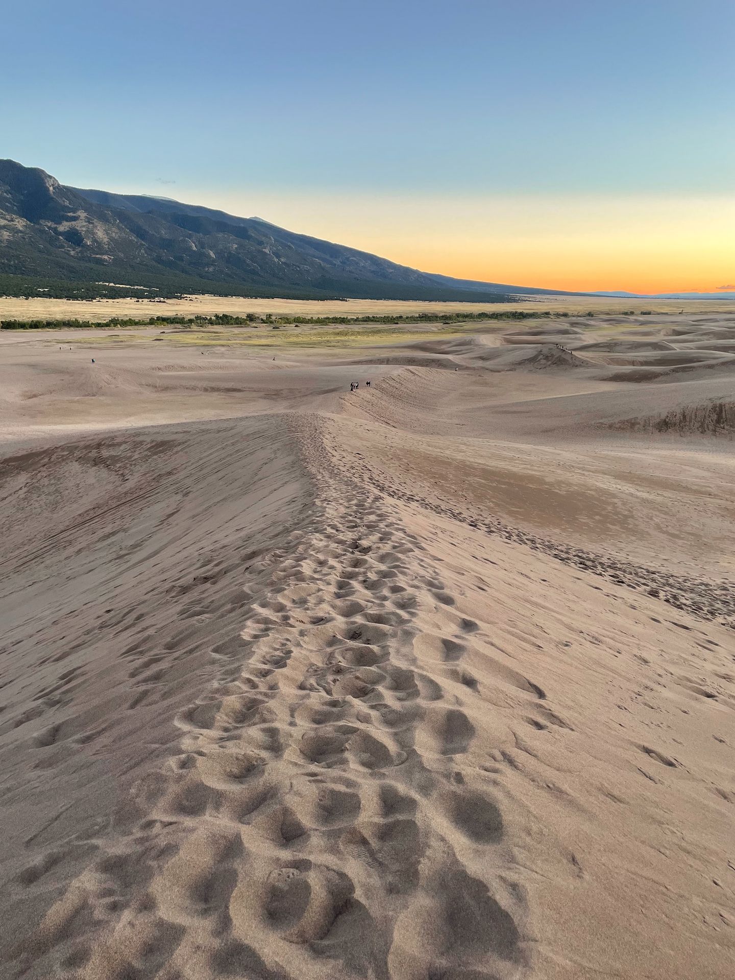 Looking down a ridge of sand dunes, with the sky orange at sunset