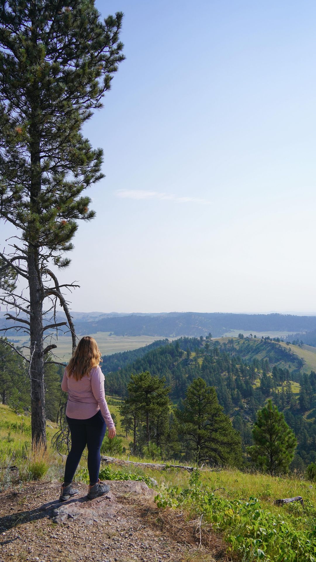 A guide to each US national park - part 23 - Wind Cave 🪨