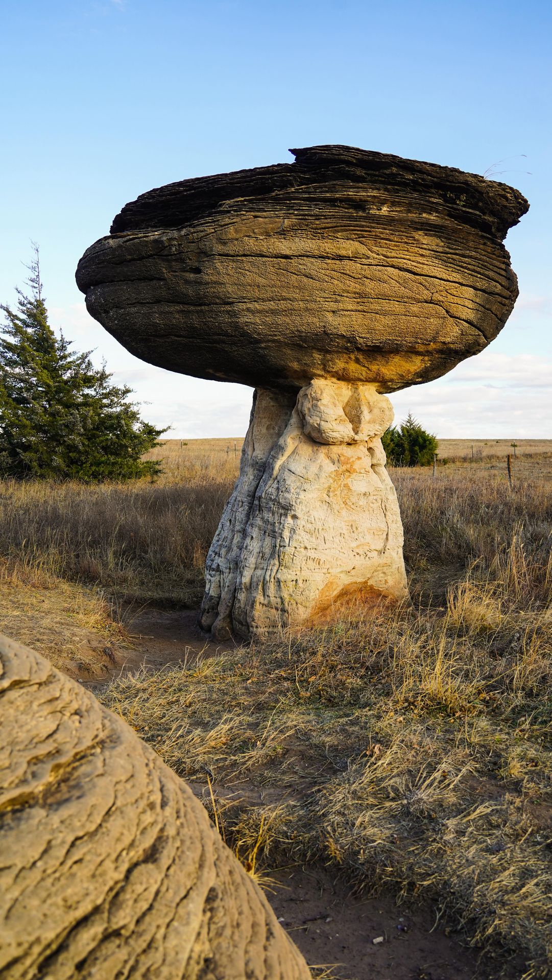 Did you know these things were in Kansas? 🤯