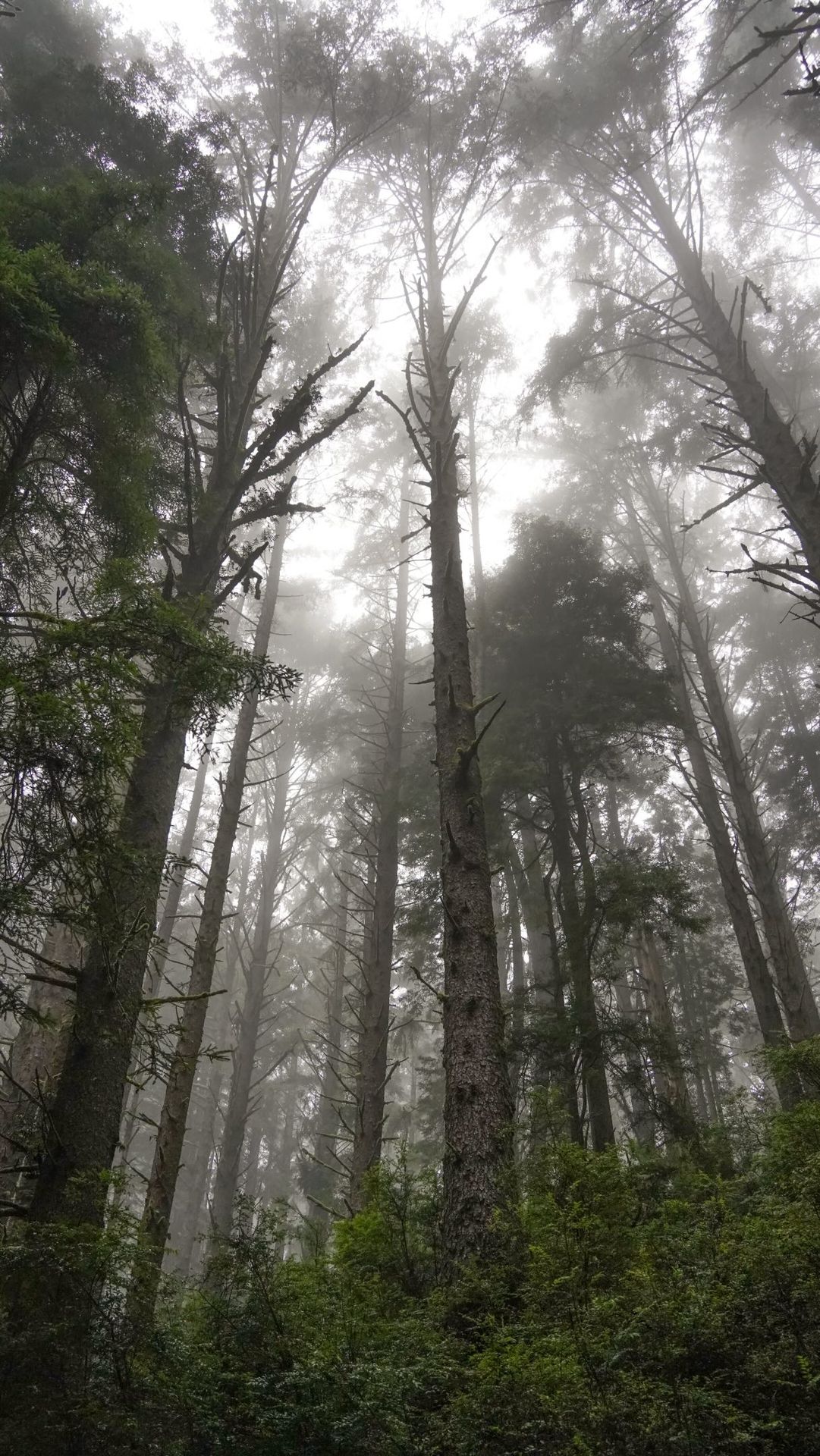 In honor of Halloween, I wanted to share what I think are some of the spookiest national parks 👻