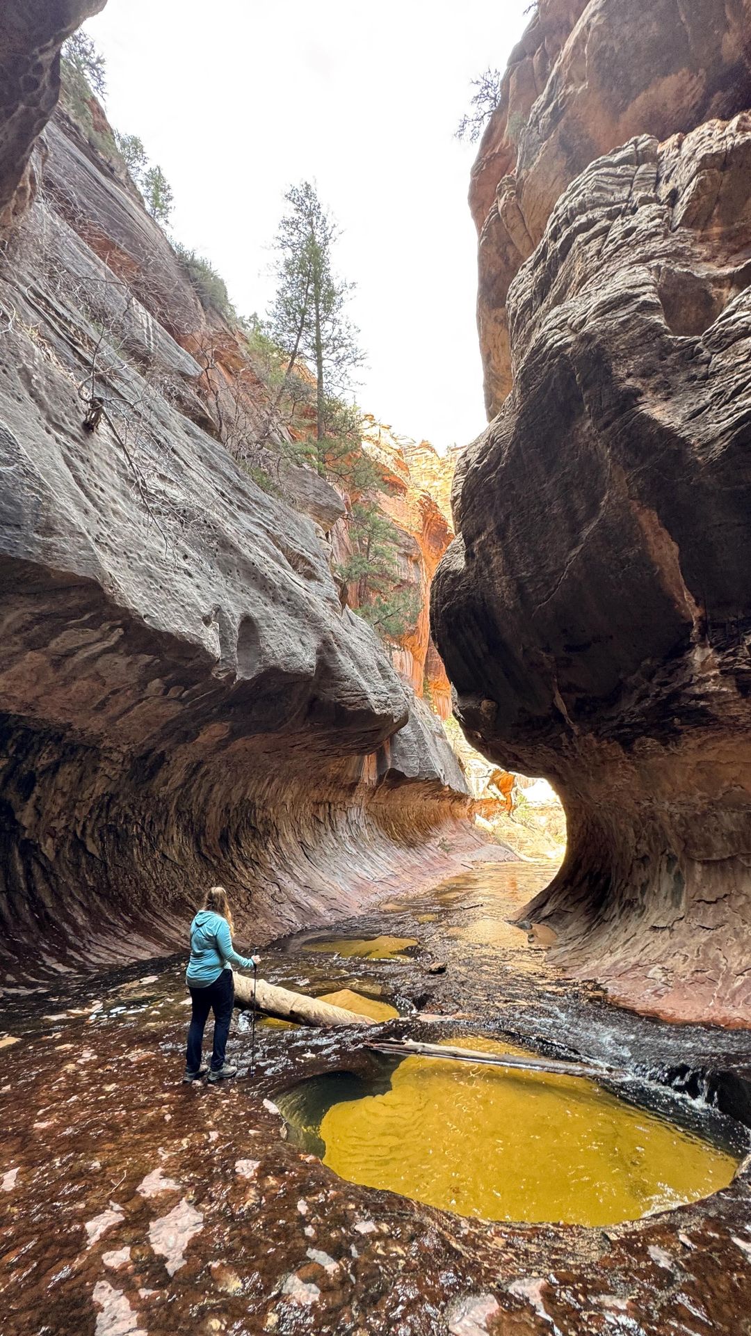 Add this hike to your Utah bucket list!