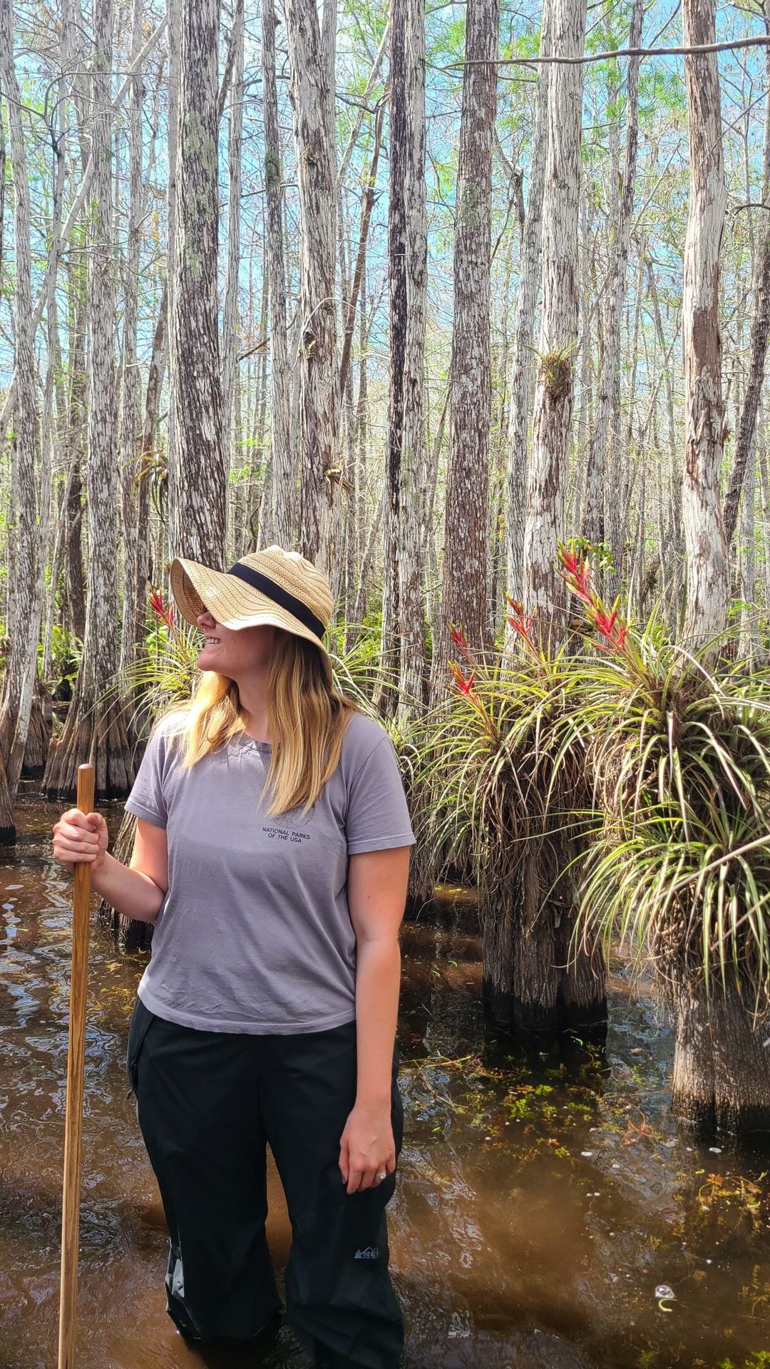 A guide to each US national park - part 37 - Everglades, FL
