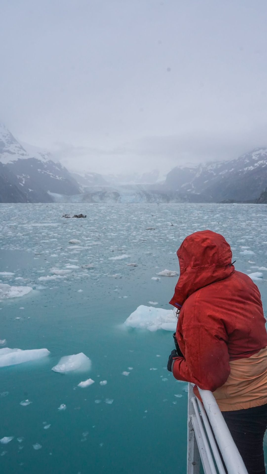 How to visit Glacier Bay WITHOUT taking a cruise 👇