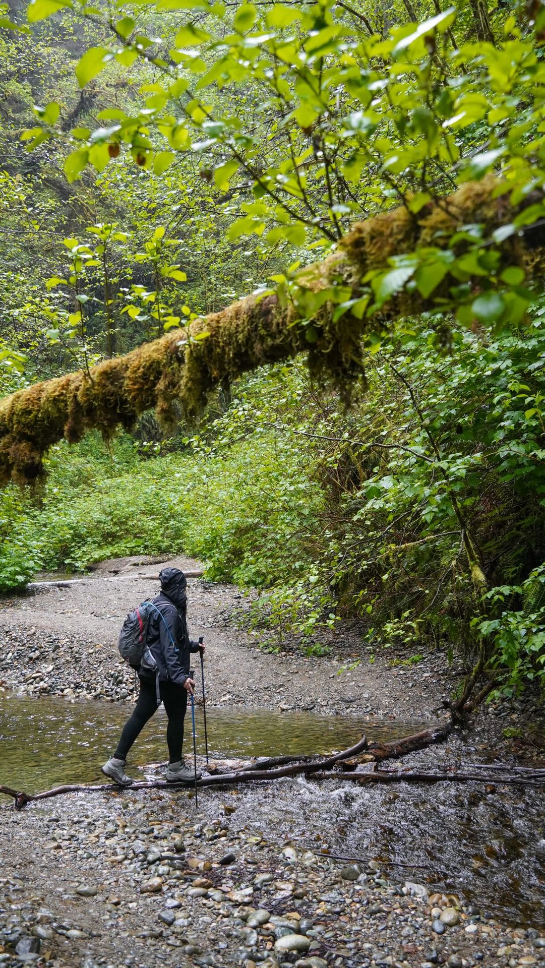 After visiting 62 national parks, these are some of my favorite easy and moderate hikes! 🥾