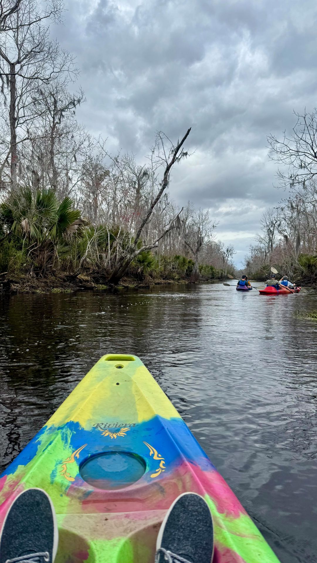 Escape the busy city for a peaceful paddle among the Louisiana swamps 🌿