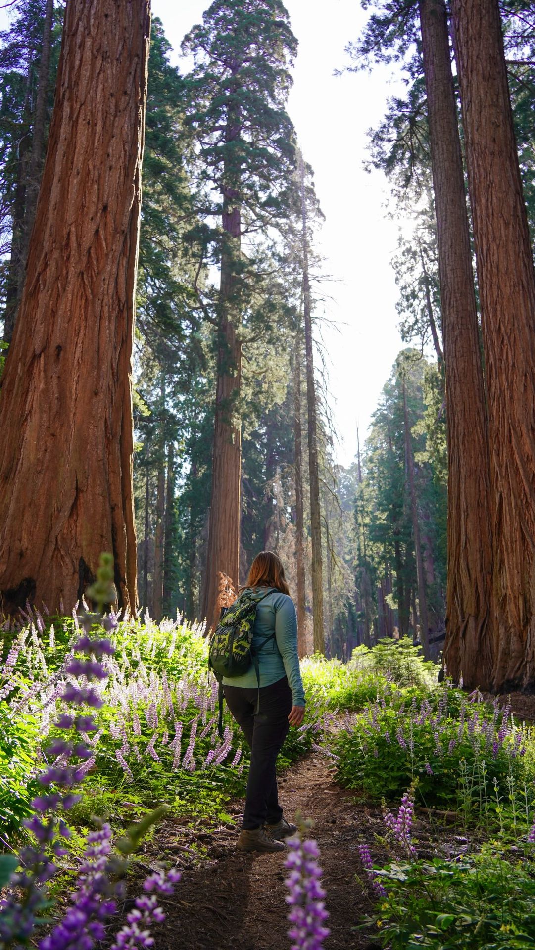 If all goes to plan, we’ll be setting foot in our 63rd national park in less than a week! 🥹