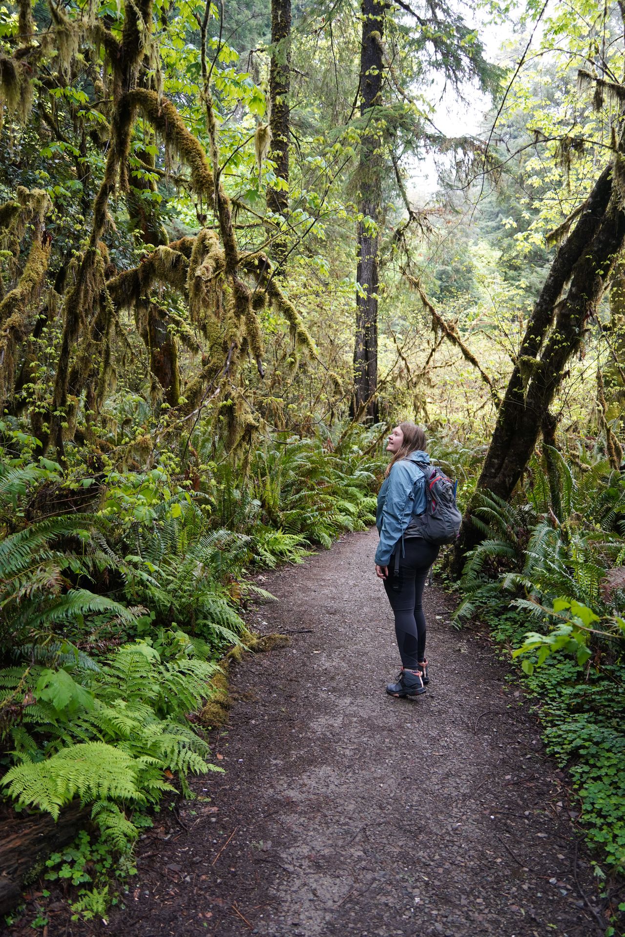 Lydia hiking among ferns and mossy branches on the Grove of the Titans Trail